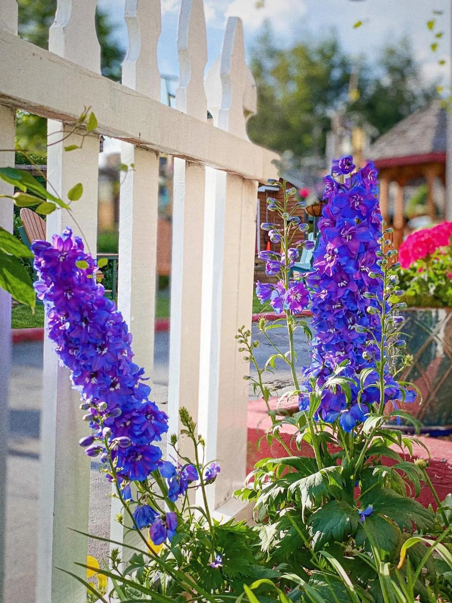 Homestead Inn - Blowing Rock