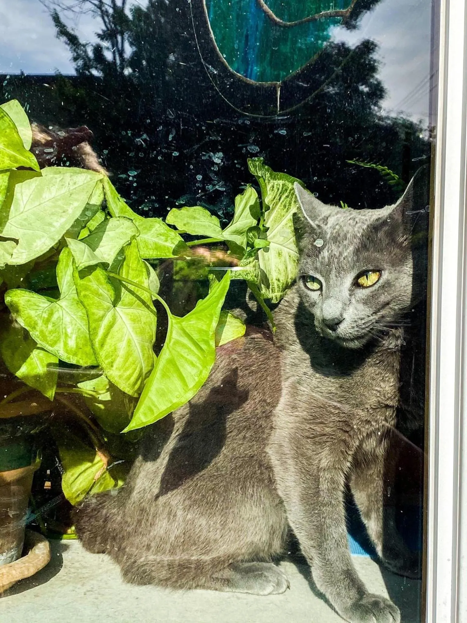 Homestead Inn - Blowing Rock