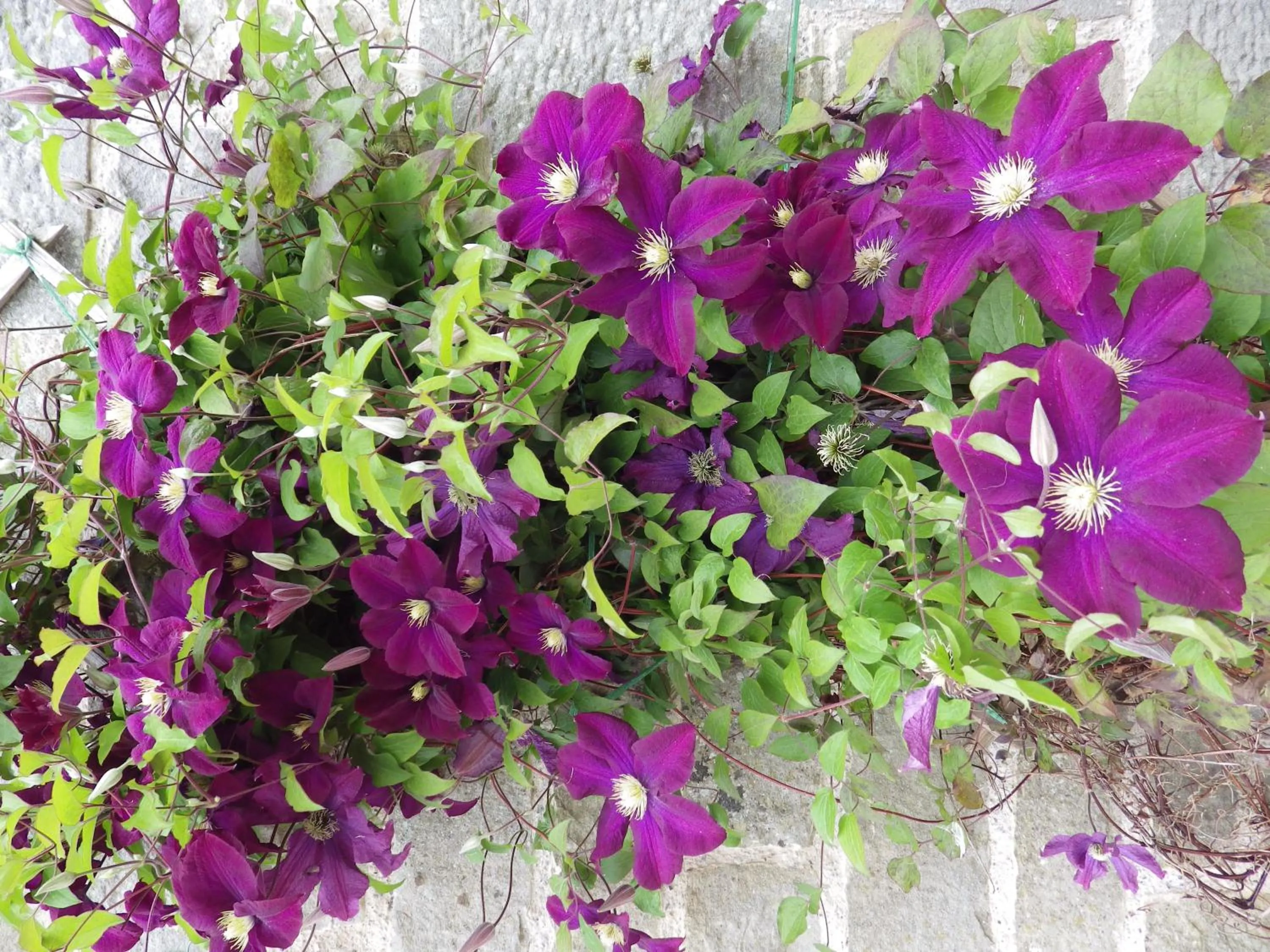 Property building in Sorbietrees B&B