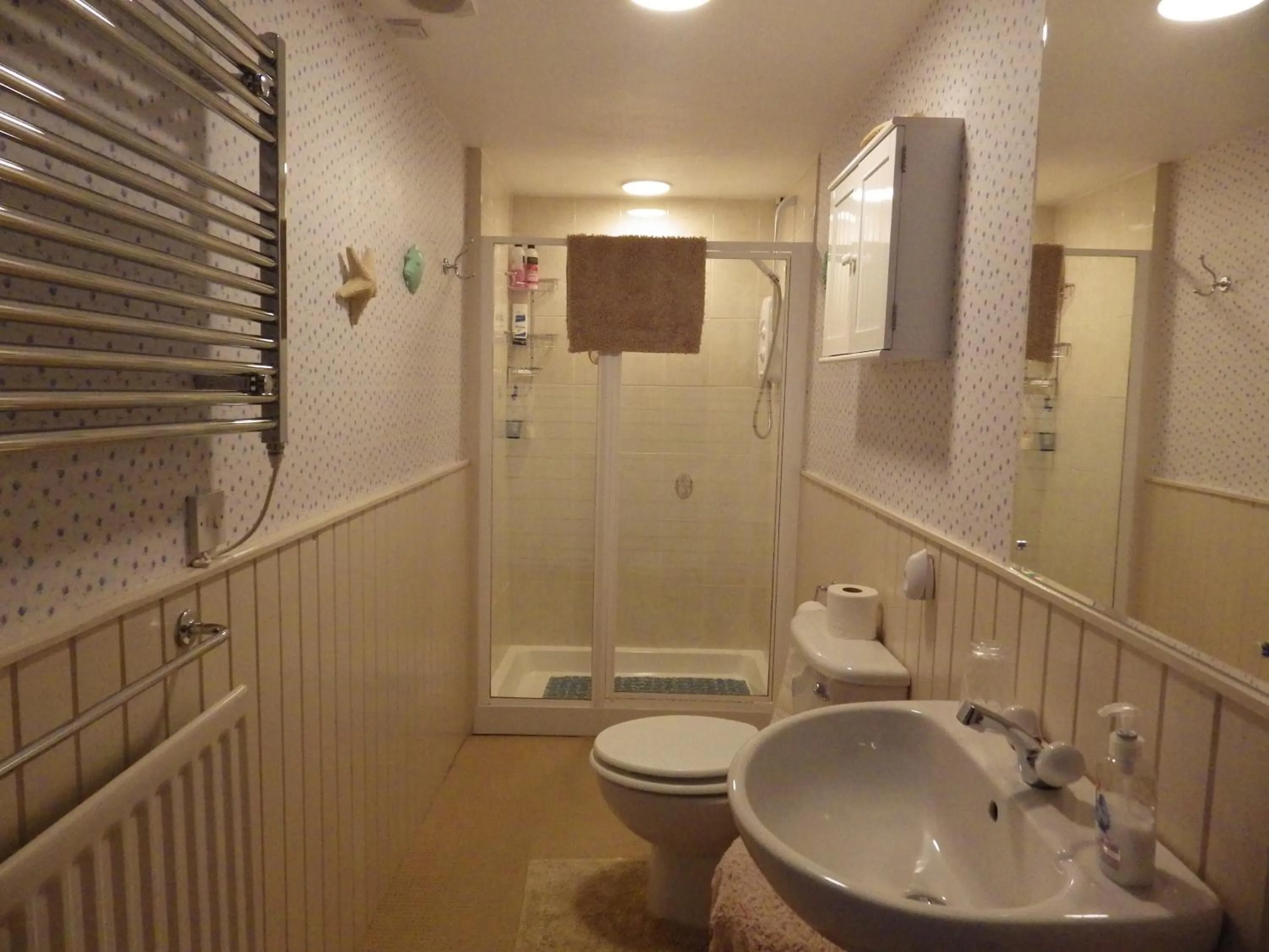 Shower in Sorbietrees B&B