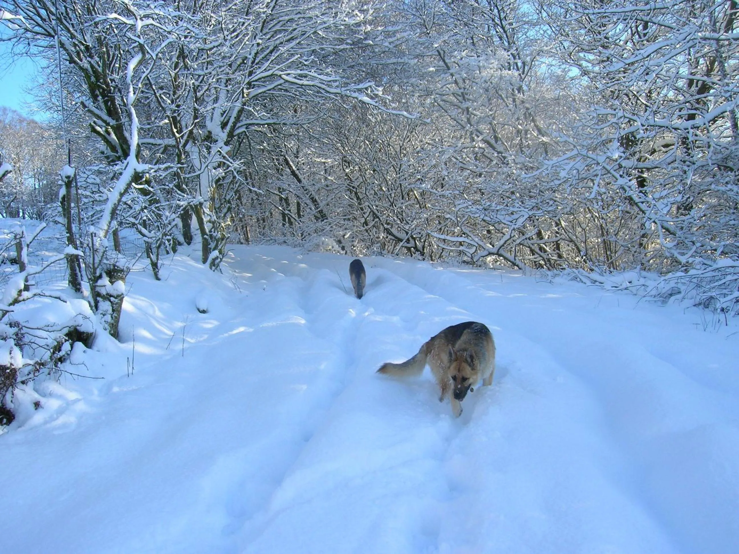 Winter in Sorbietrees B&B