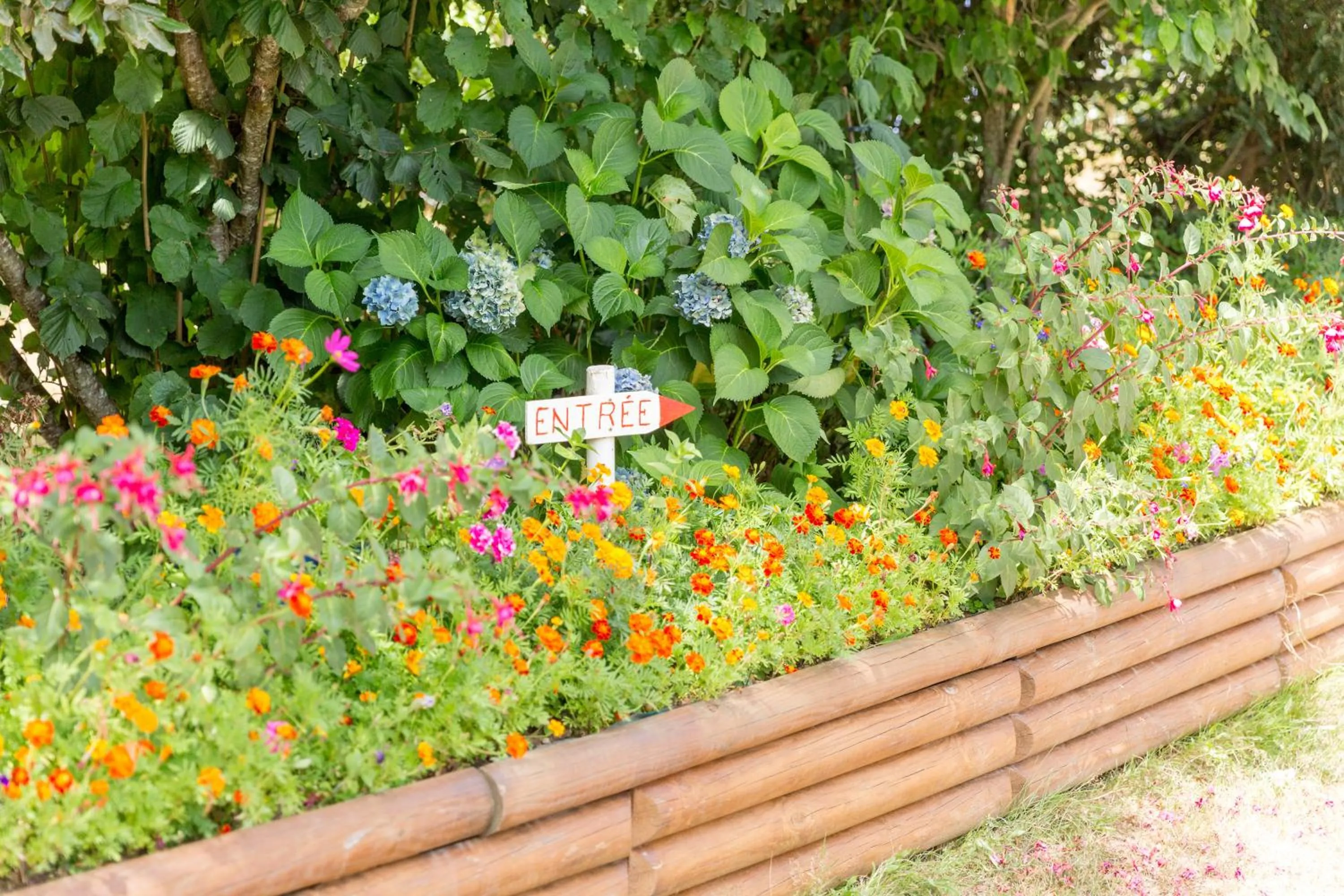 Garden in Chambres et table d'hôtes Floromel La Souterraine en rez de chaussee