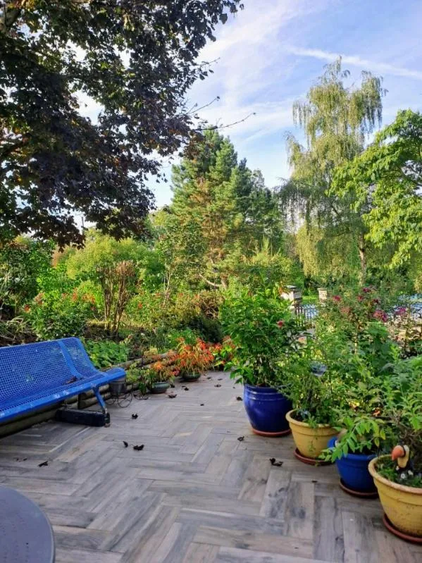 Garden in Chambres et table d'hôtes Floromel La Souterraine en rez de chaussee