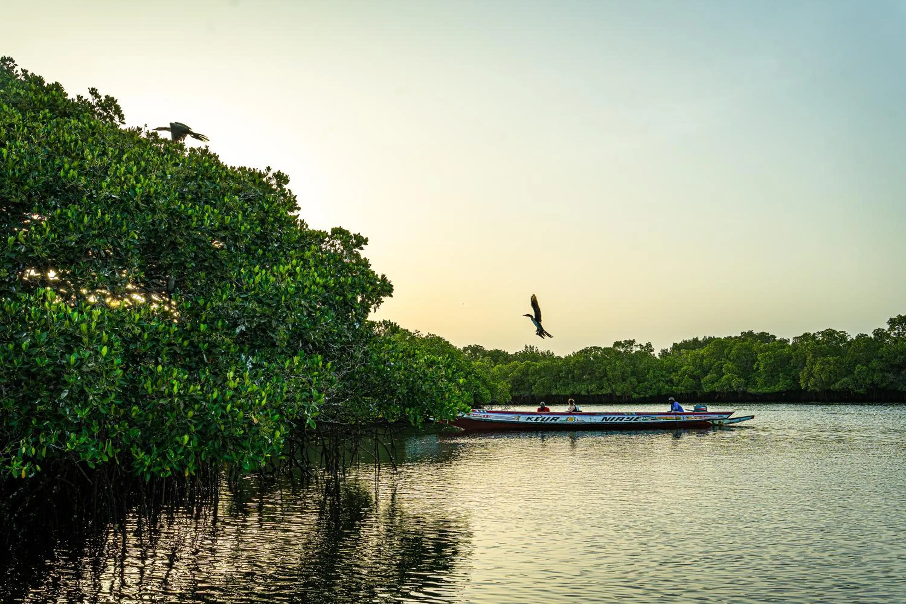 Animals in Keur Saloum Resort