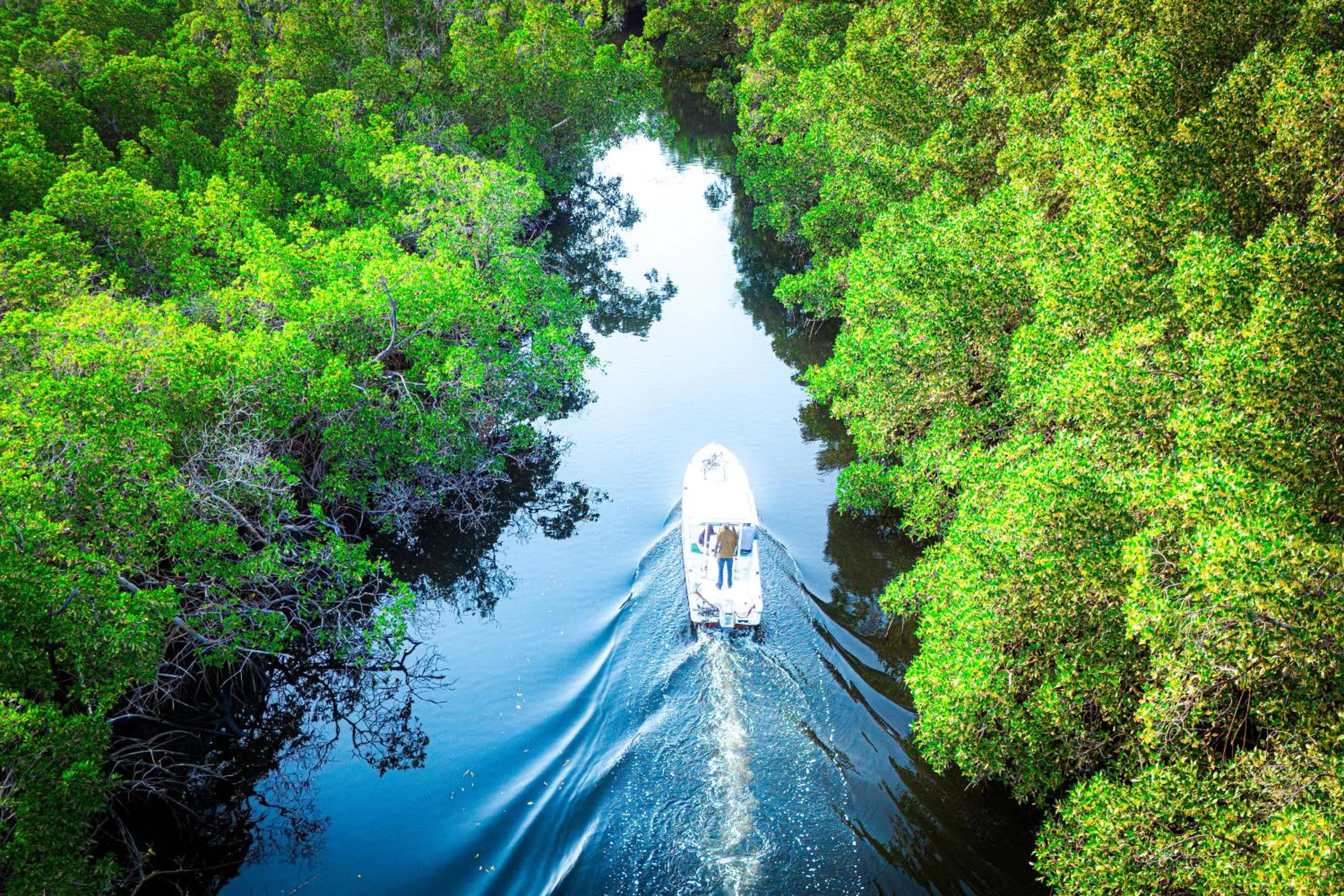 River view in Keur Saloum Resort