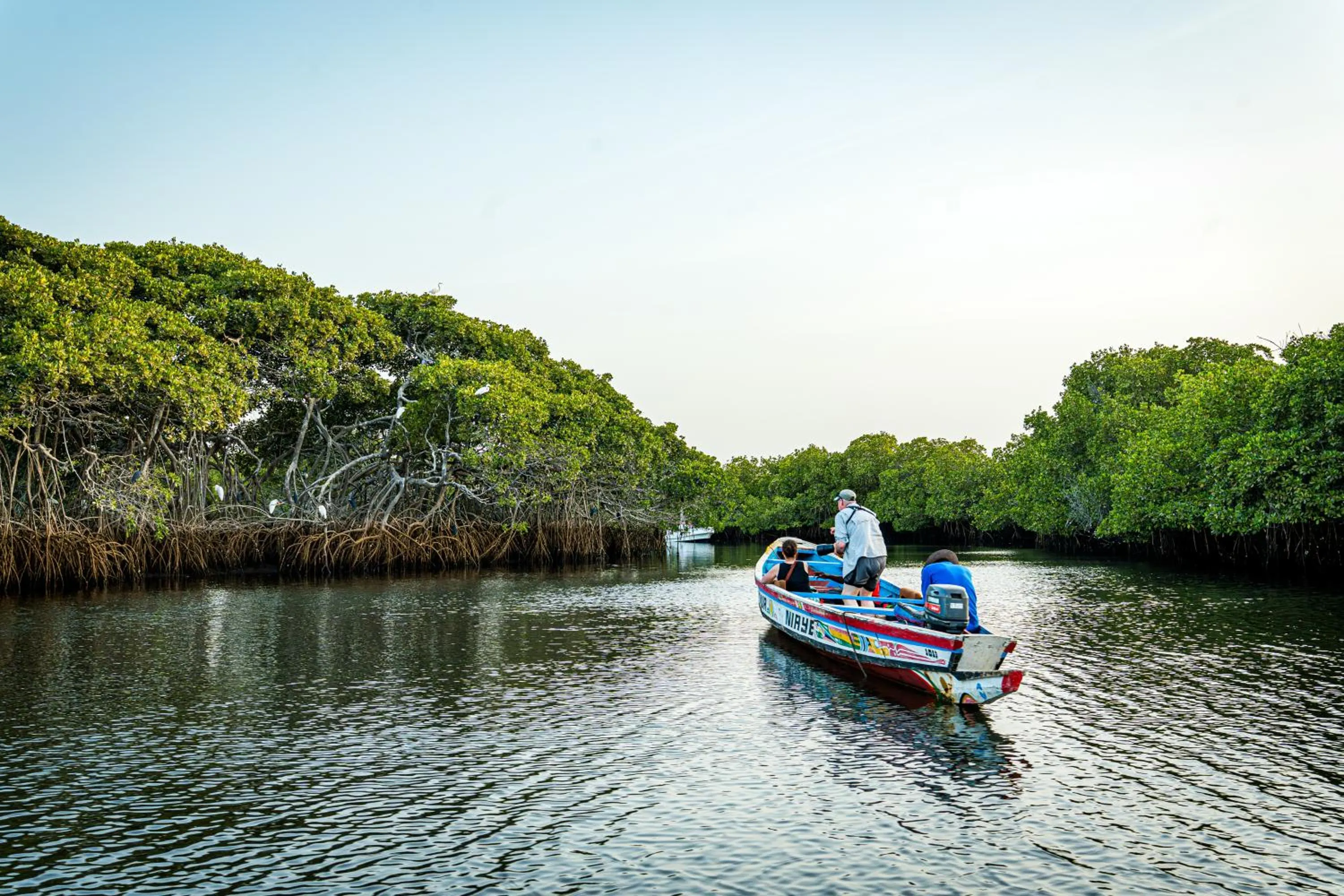 Animals in Keur Saloum Resort