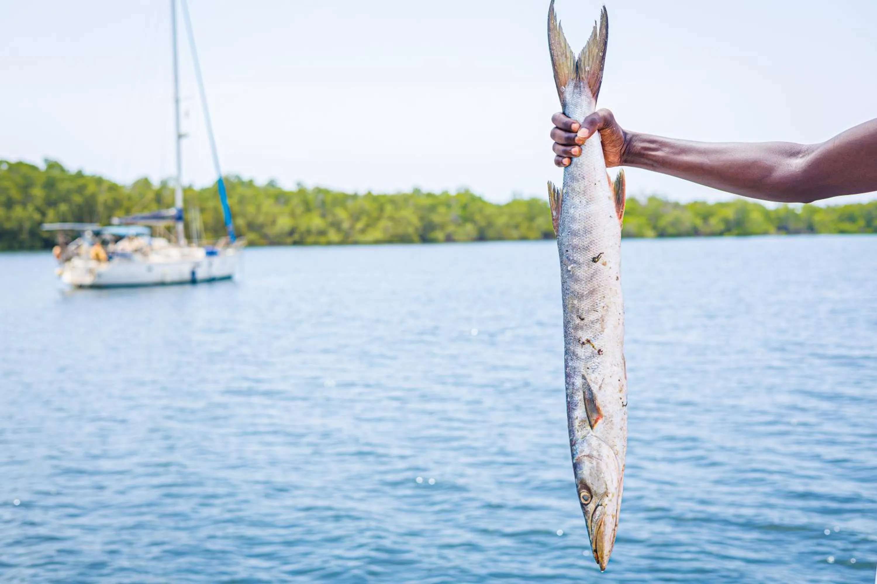 Activities in Keur Saloum Resort