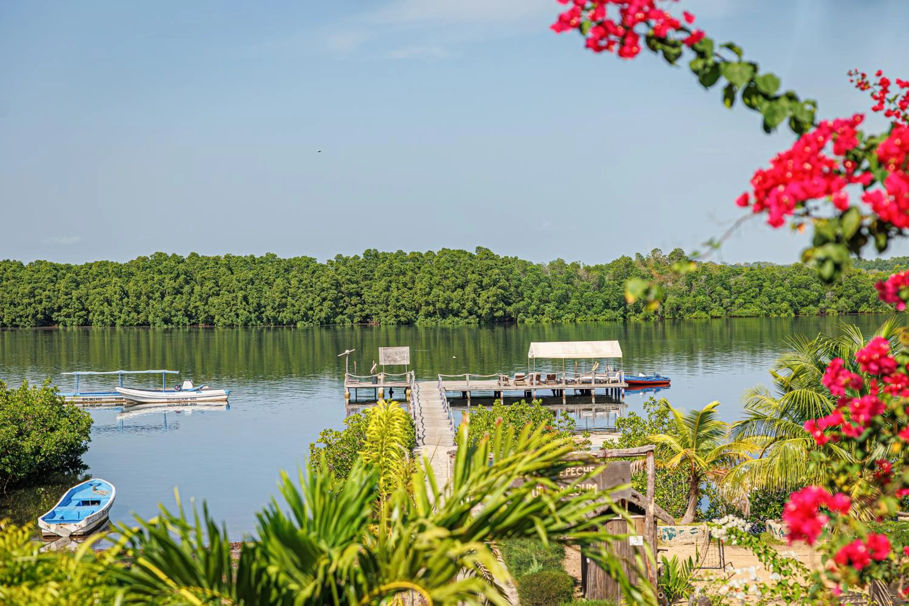 Natural landscape in Keur Saloum Resort