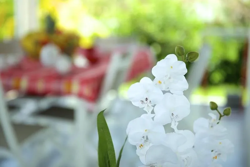 Other in Village de la Princesse