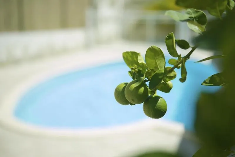 Other in Village de la Princesse