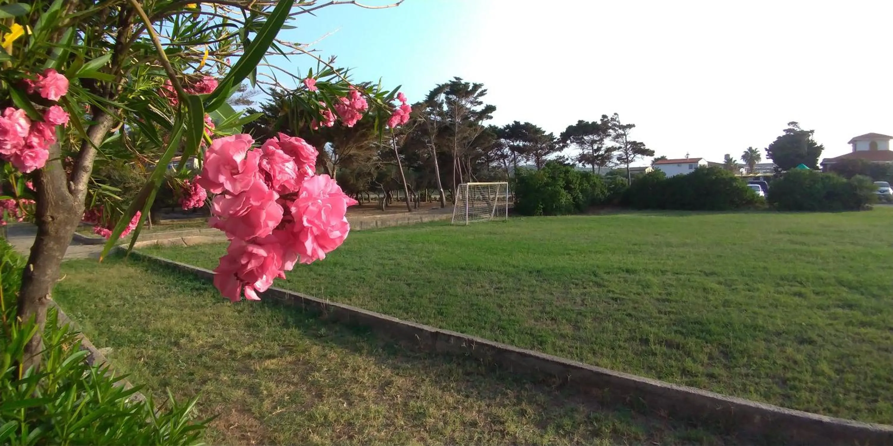 Garden in Villa Teti - Sicilia
