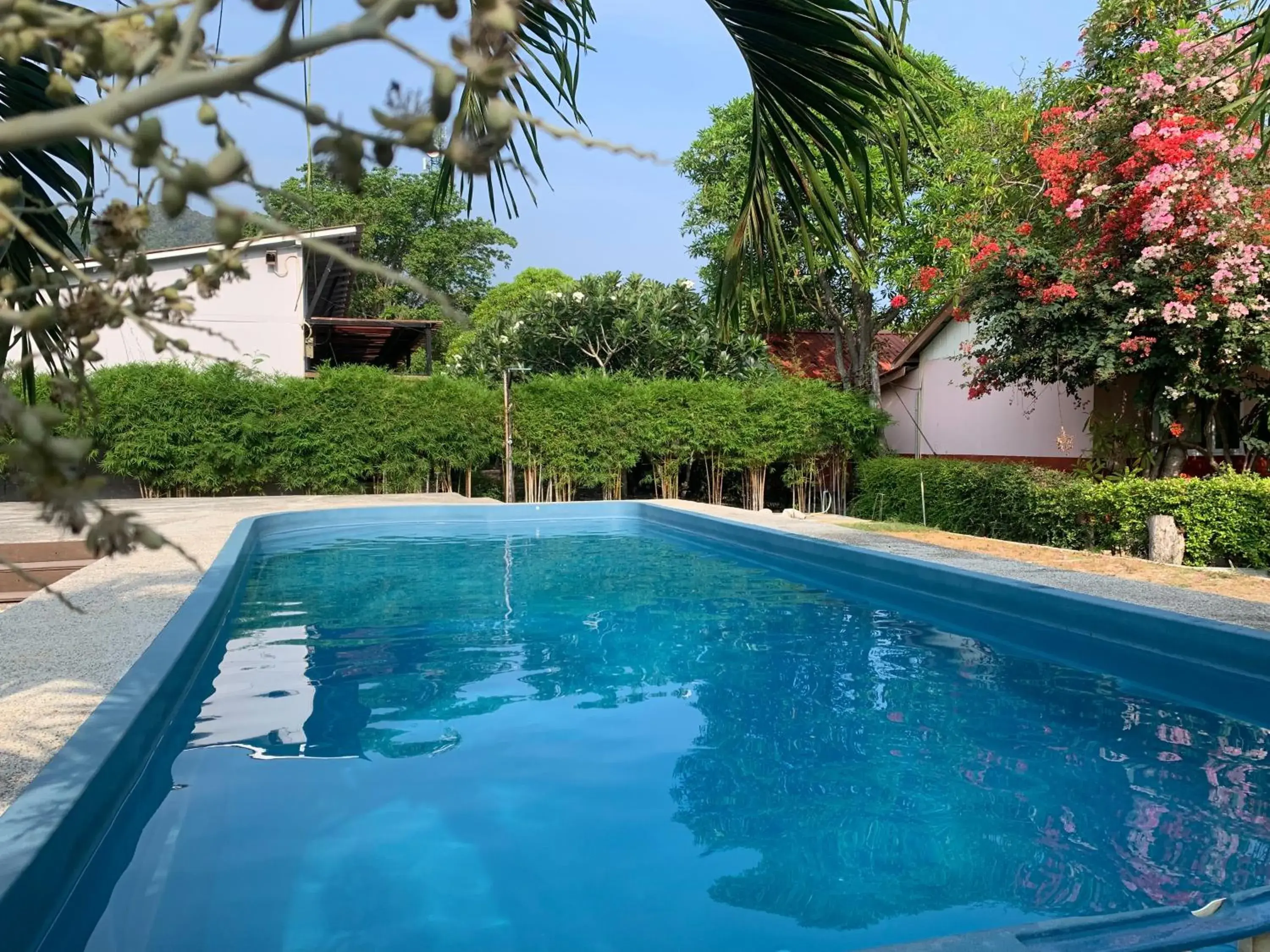 Swimming pool in Phi Phi Ba Kao Bay Resort Swimming pool in Phi Phi Ba Kao Bay Resort