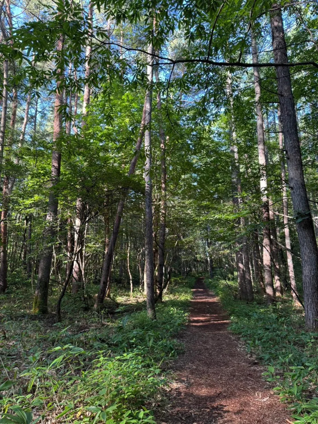 Kusatsu Onsen Hotel Village