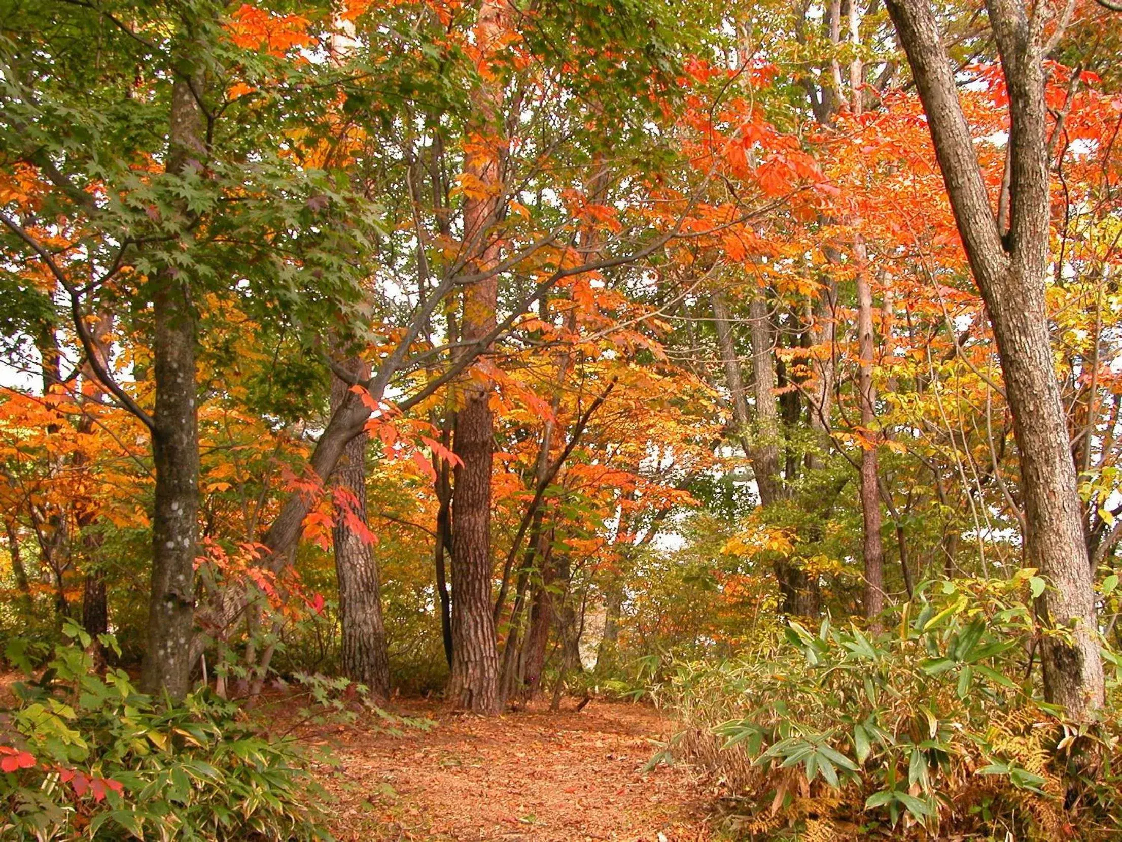 Property building in Kusatsu Onsen Hotel Village Property building in Kusatsu Onsen Hotel Village