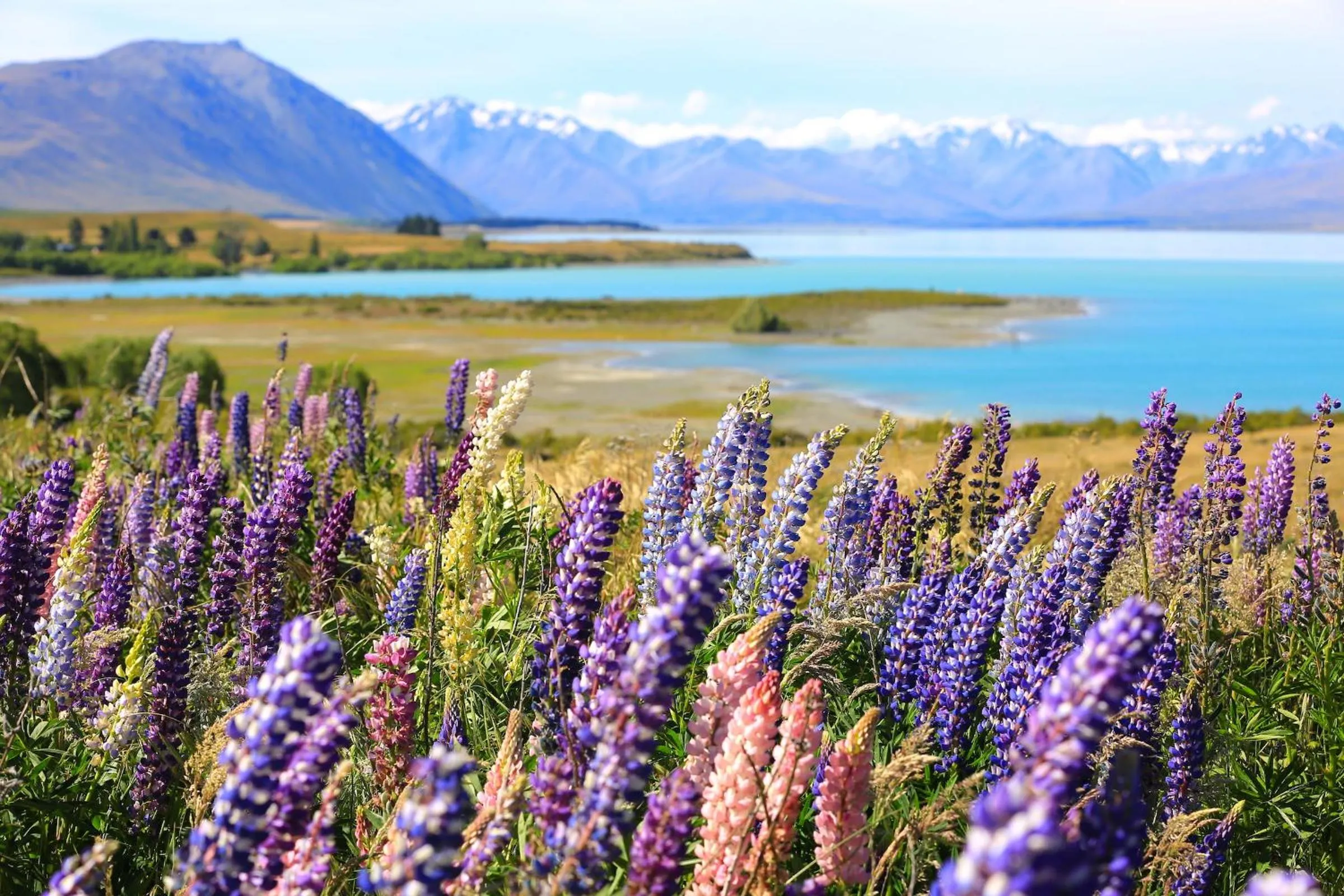 Natural landscape in Galaxy Boutique Hotel