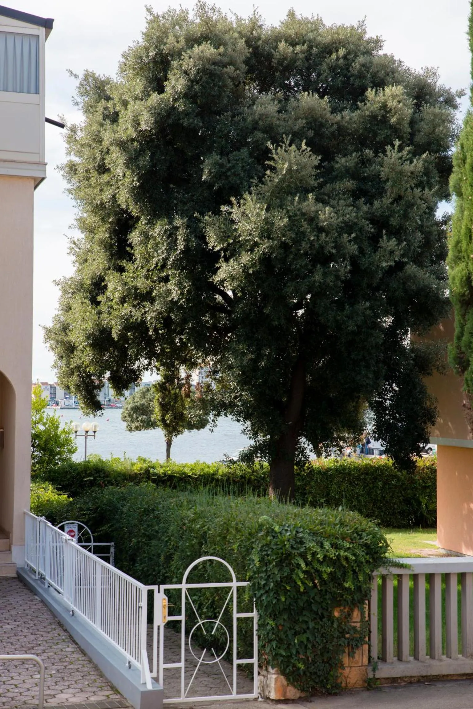 Sea view in Apartments Villa Nona