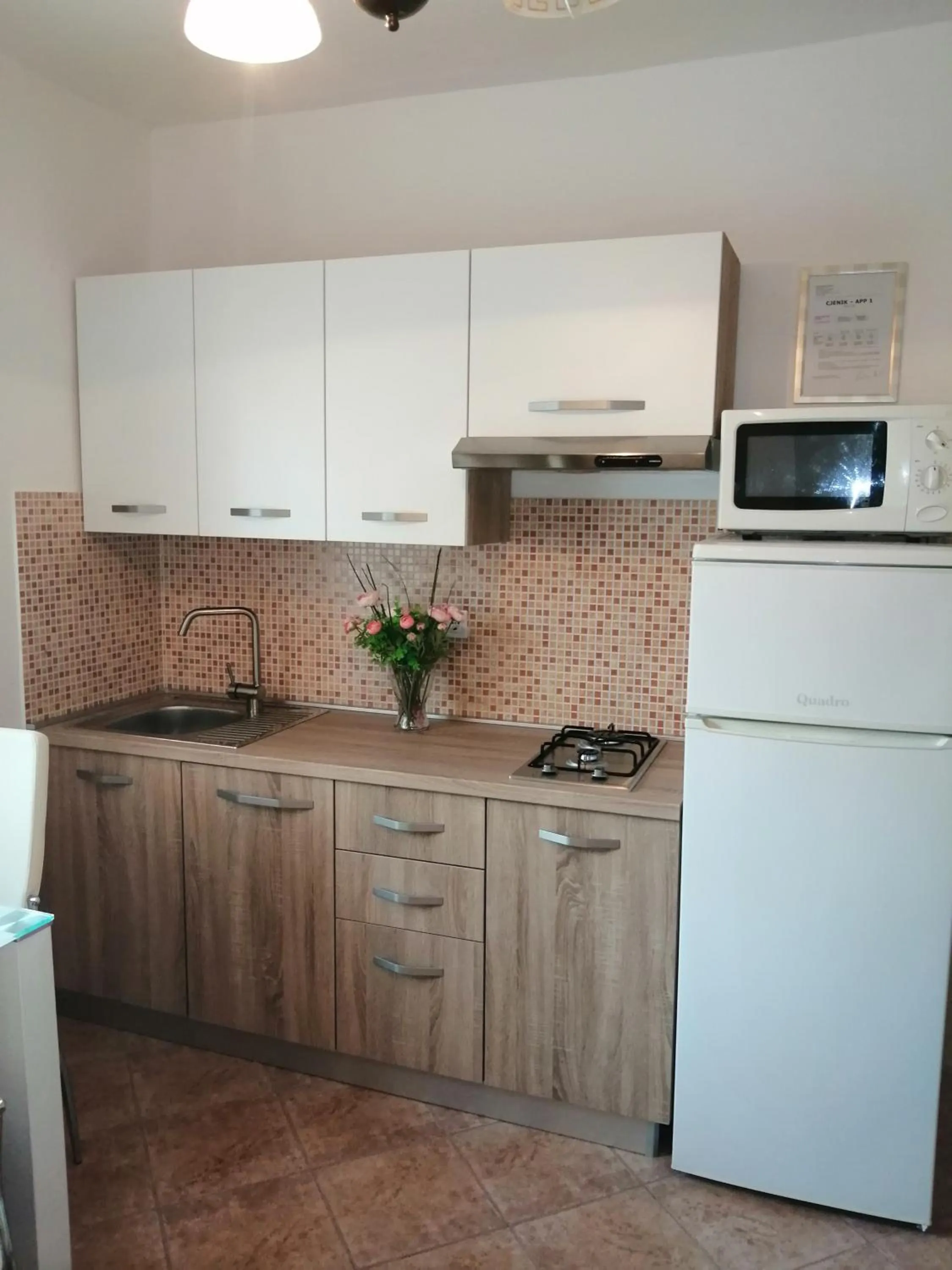 Kitchen or kitchenette in Apartments Villa Nona
