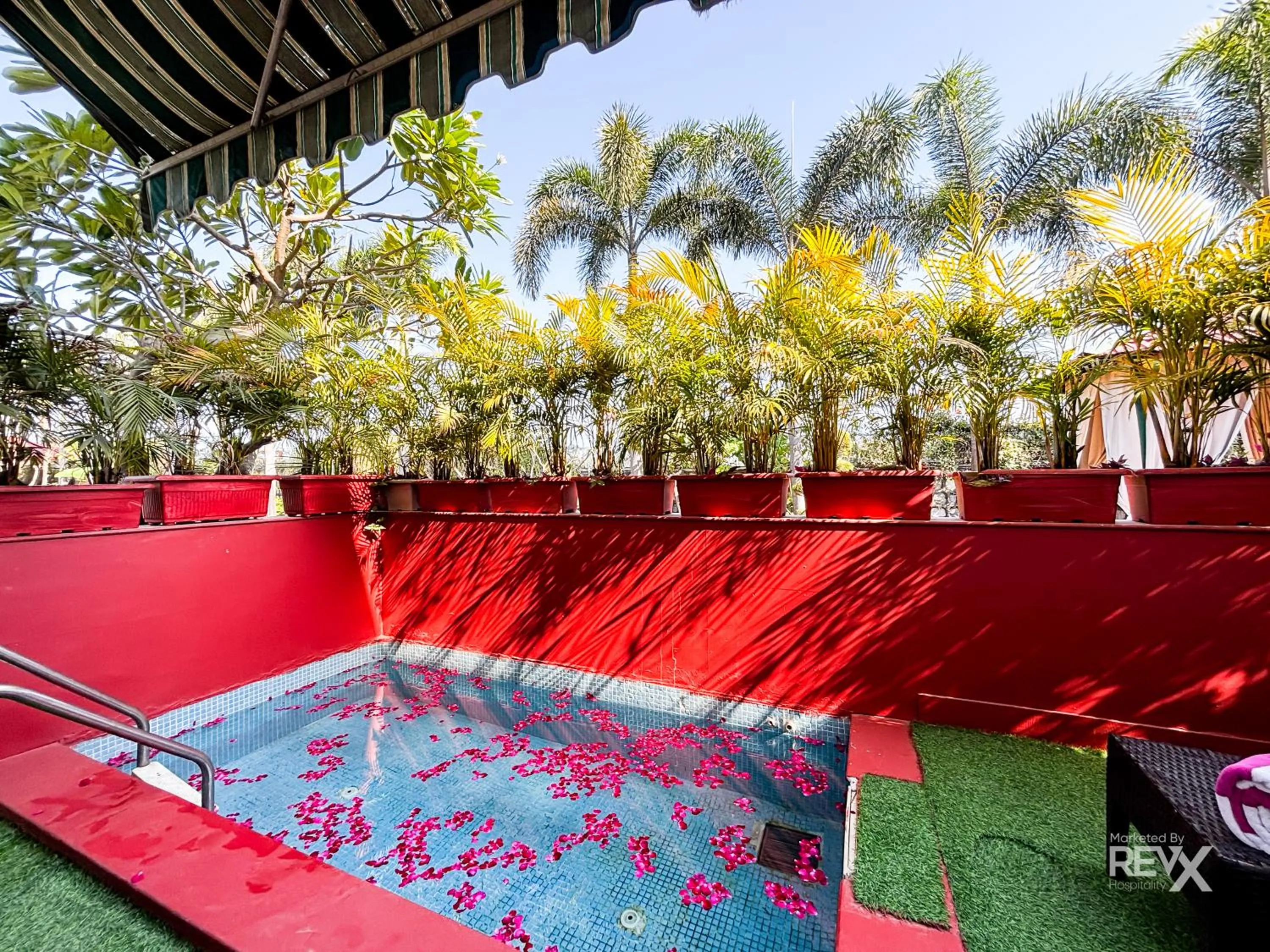 Pool view in The Neeraj River Forest Resort Ayurvedic Wellness Center