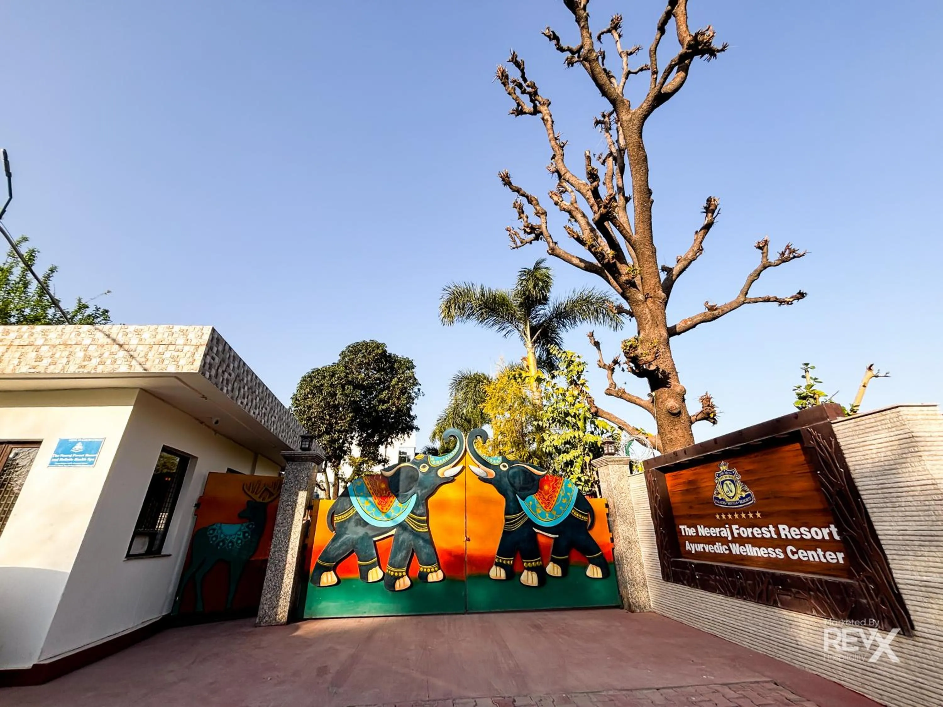 Day in The Neeraj River Forest Resort Ayurvedic Wellness Center