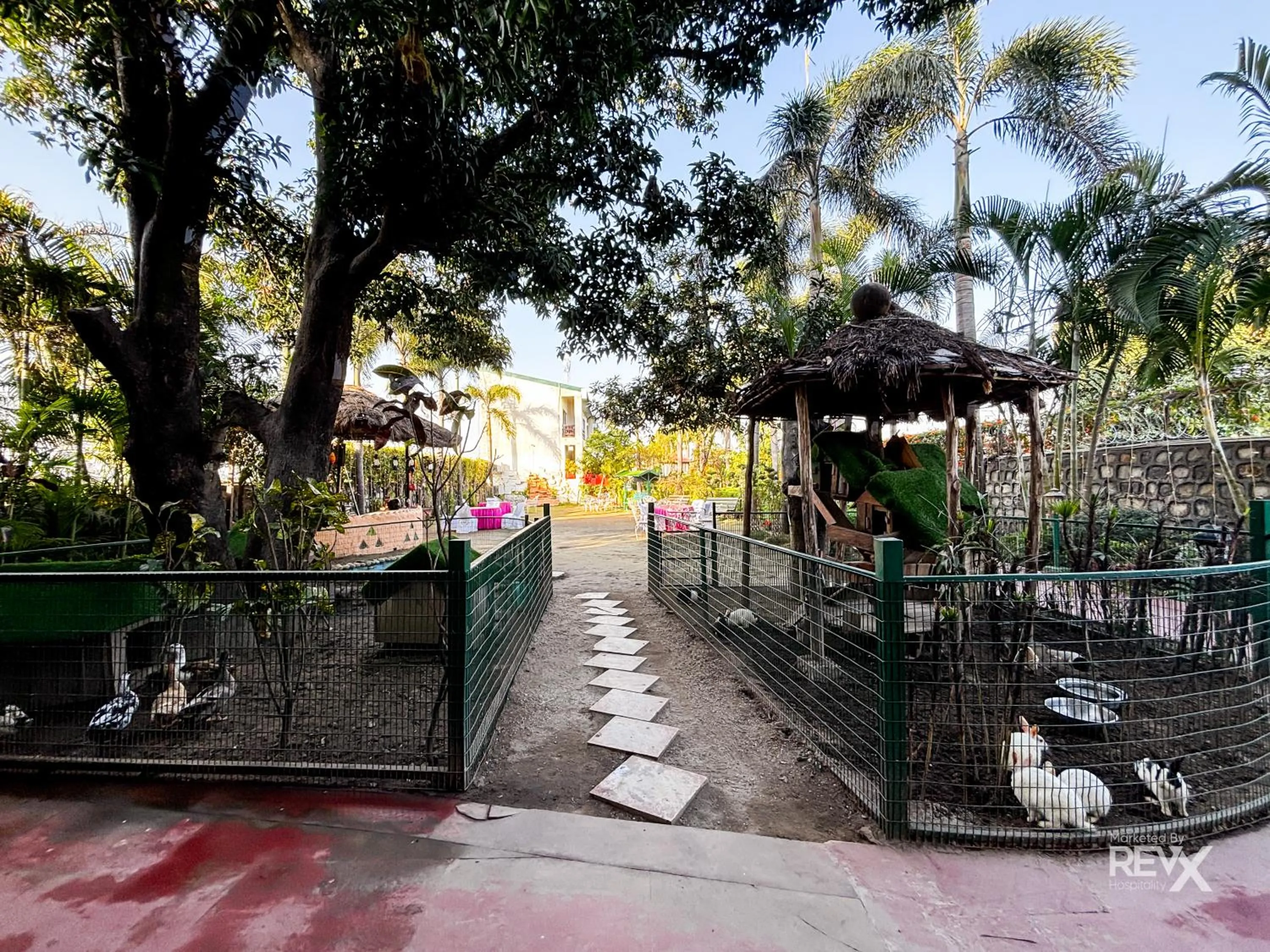 Natural landscape in The Neeraj River Forest Resort Ayurvedic Wellness Center