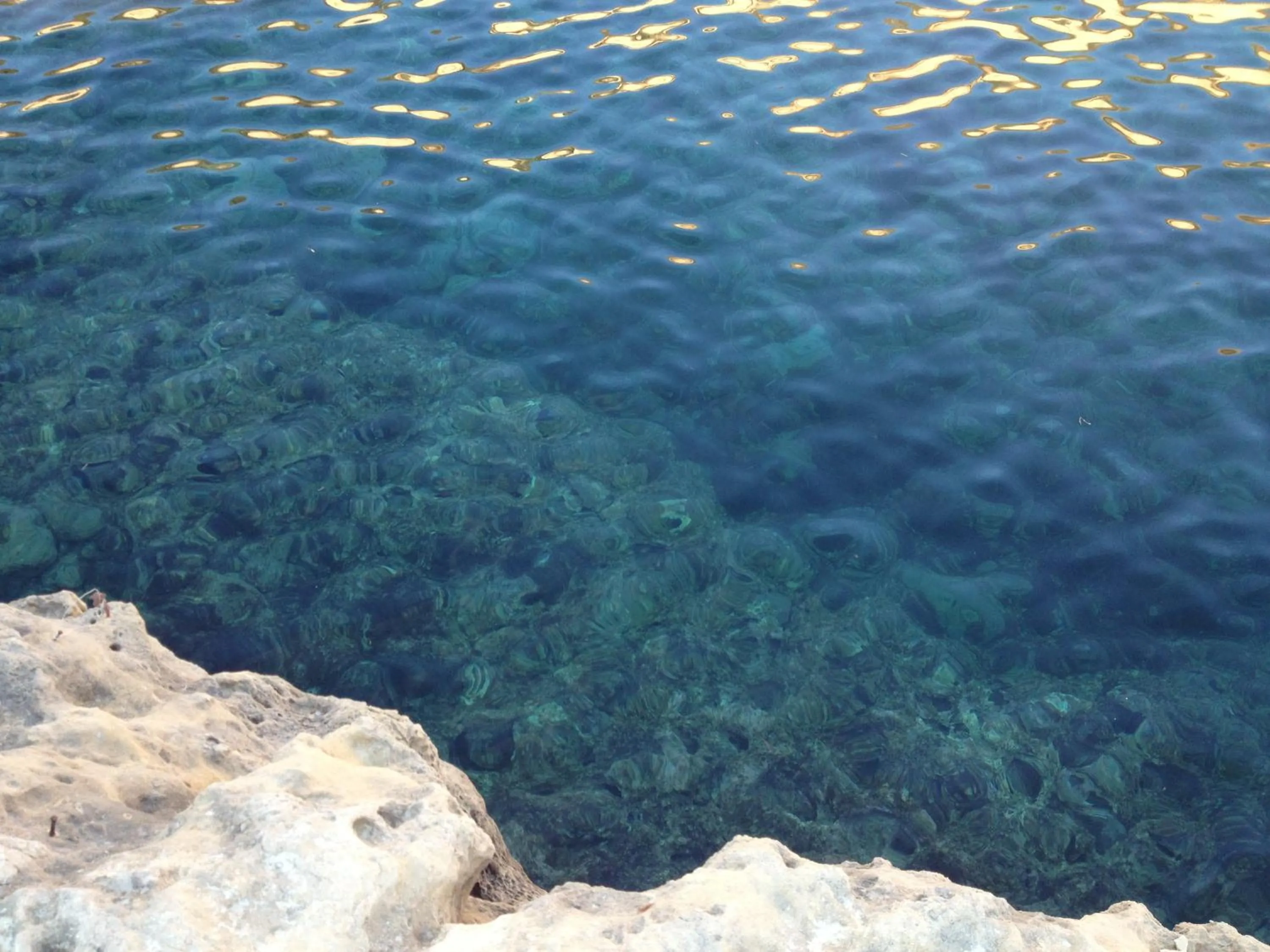 Figoli guesthouse