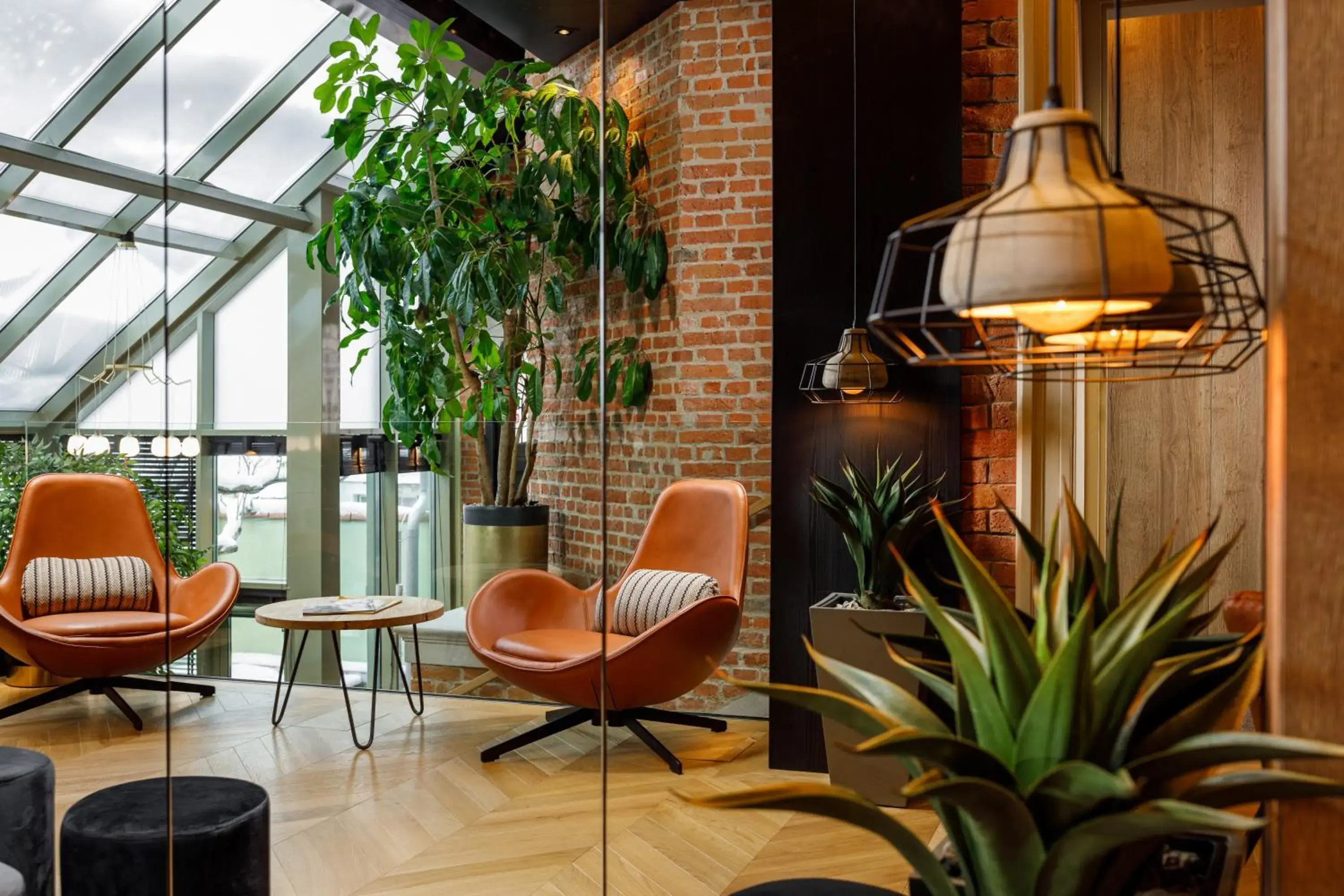 Lounge or bar in SCHUSTER Boarding House Lounge or bar in SCHUSTER Boarding House