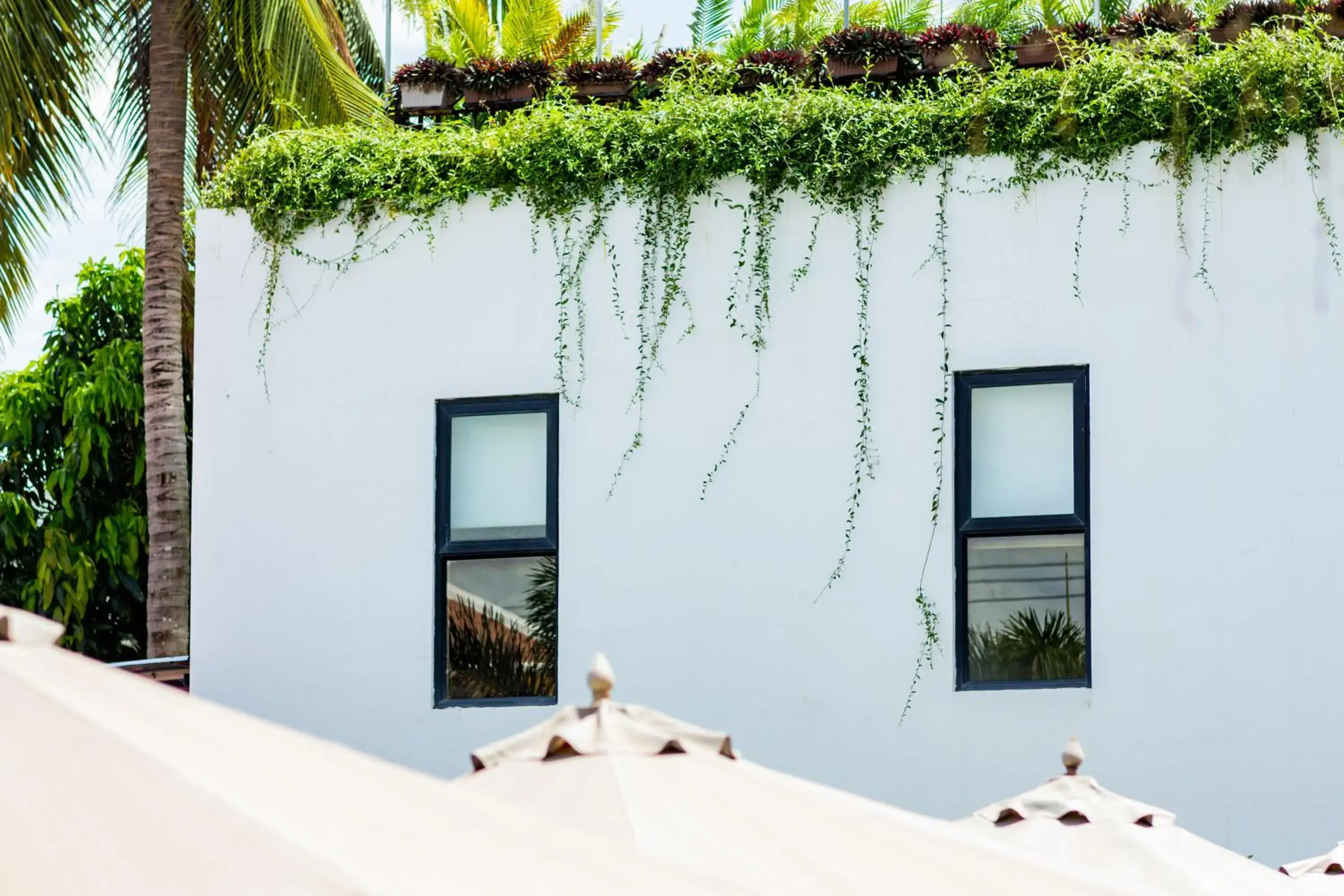 Property building in Onederz Kampot Property building in Onederz Kampot