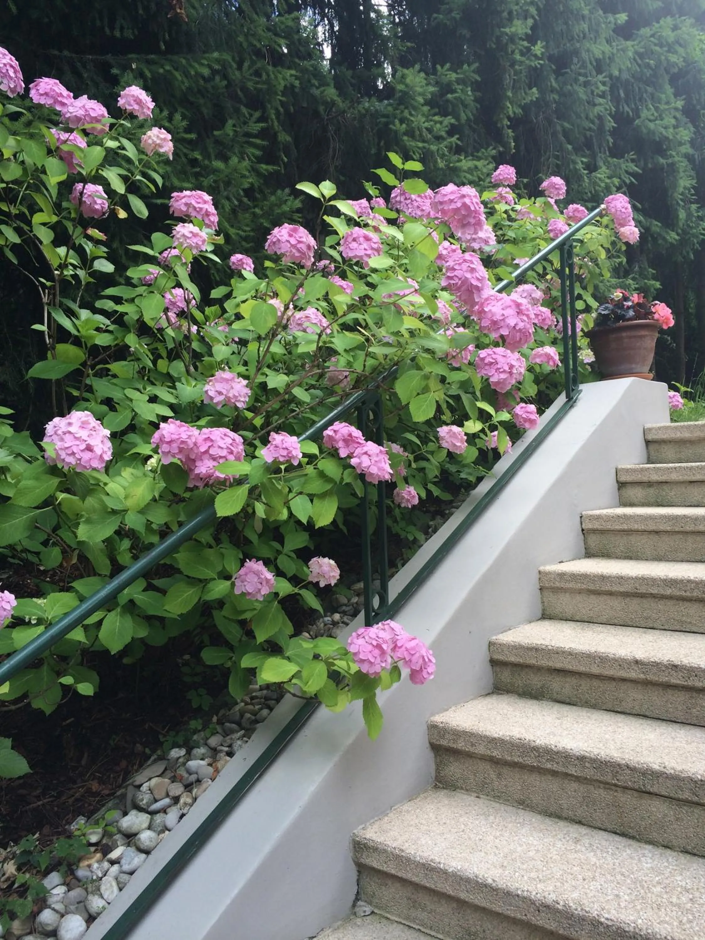 Facade/entrance in Exquisites Gartenapartment in eleganter Jugendstilvilla