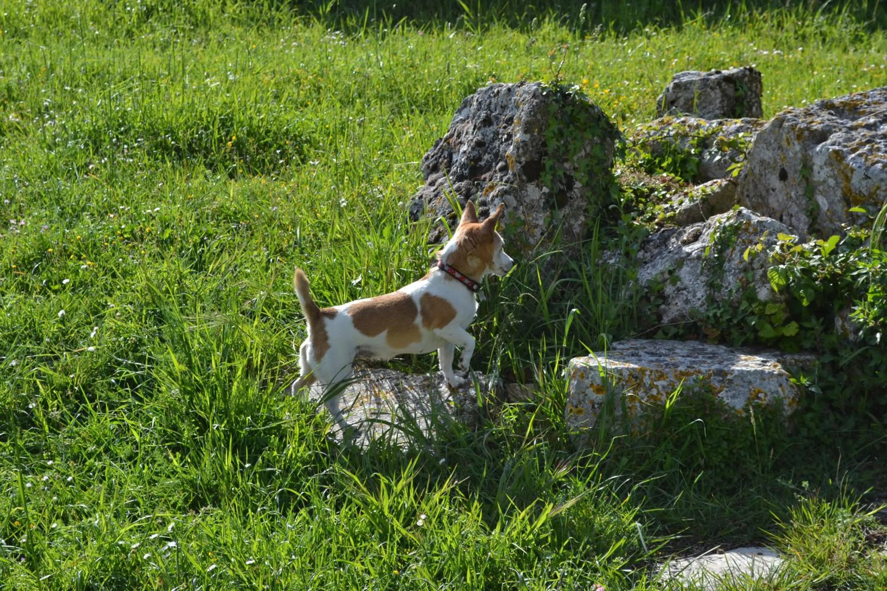 Other in Porta Del Tempo