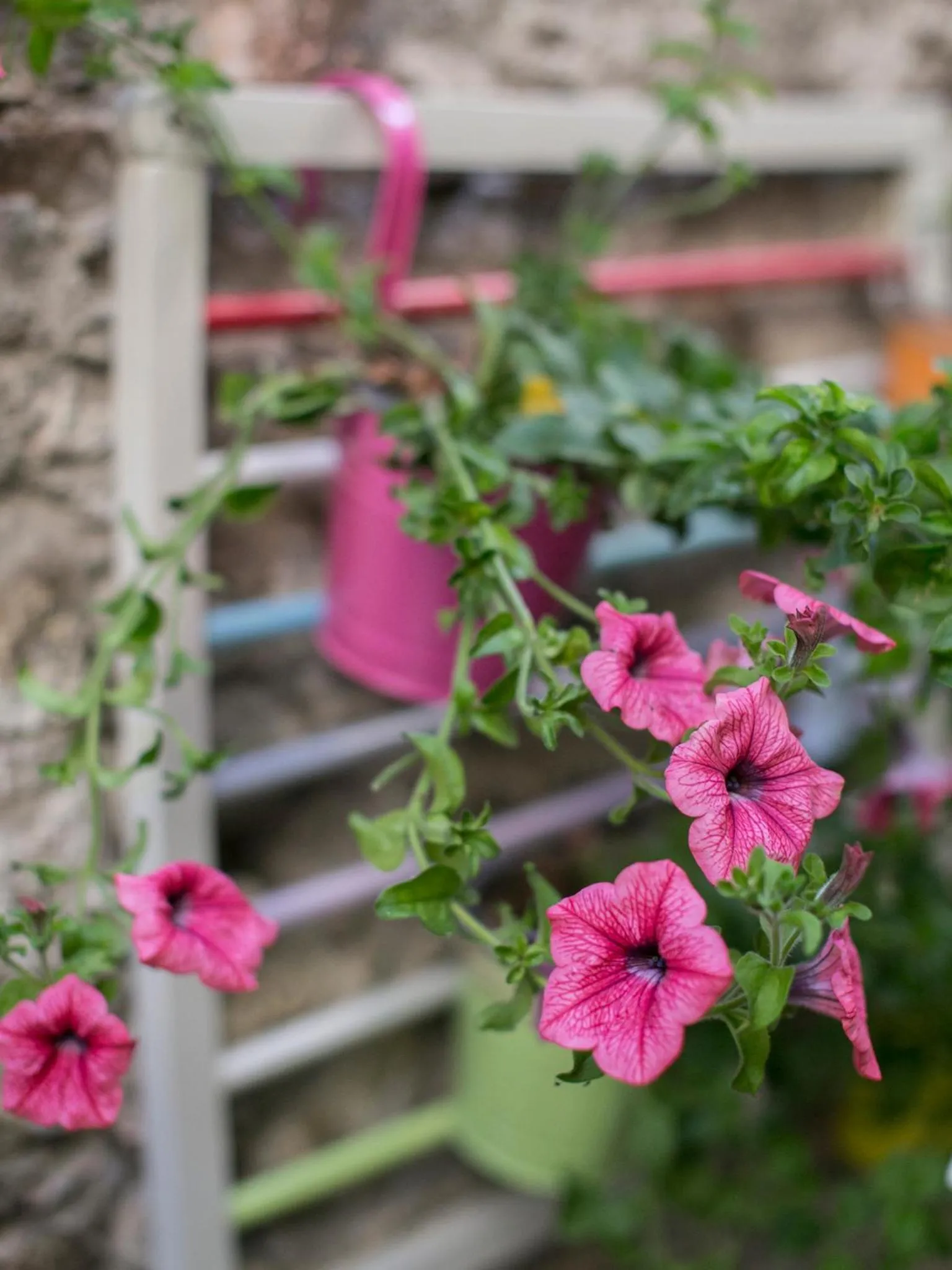 Property building in Porta Del Tempo