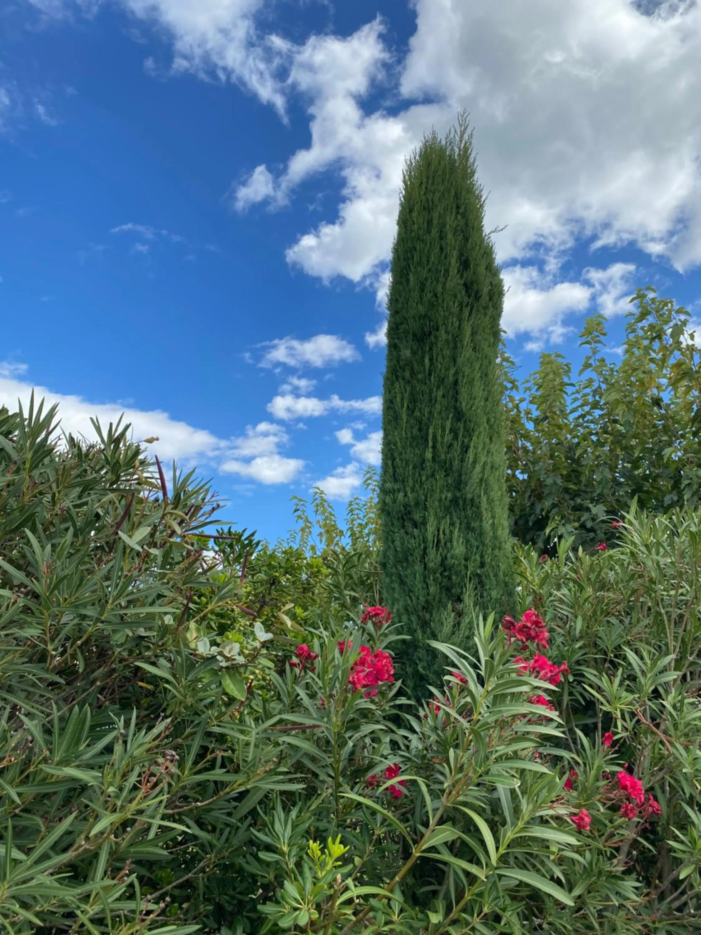 Day in Les Demeures du Ventoux - Vacanceole
