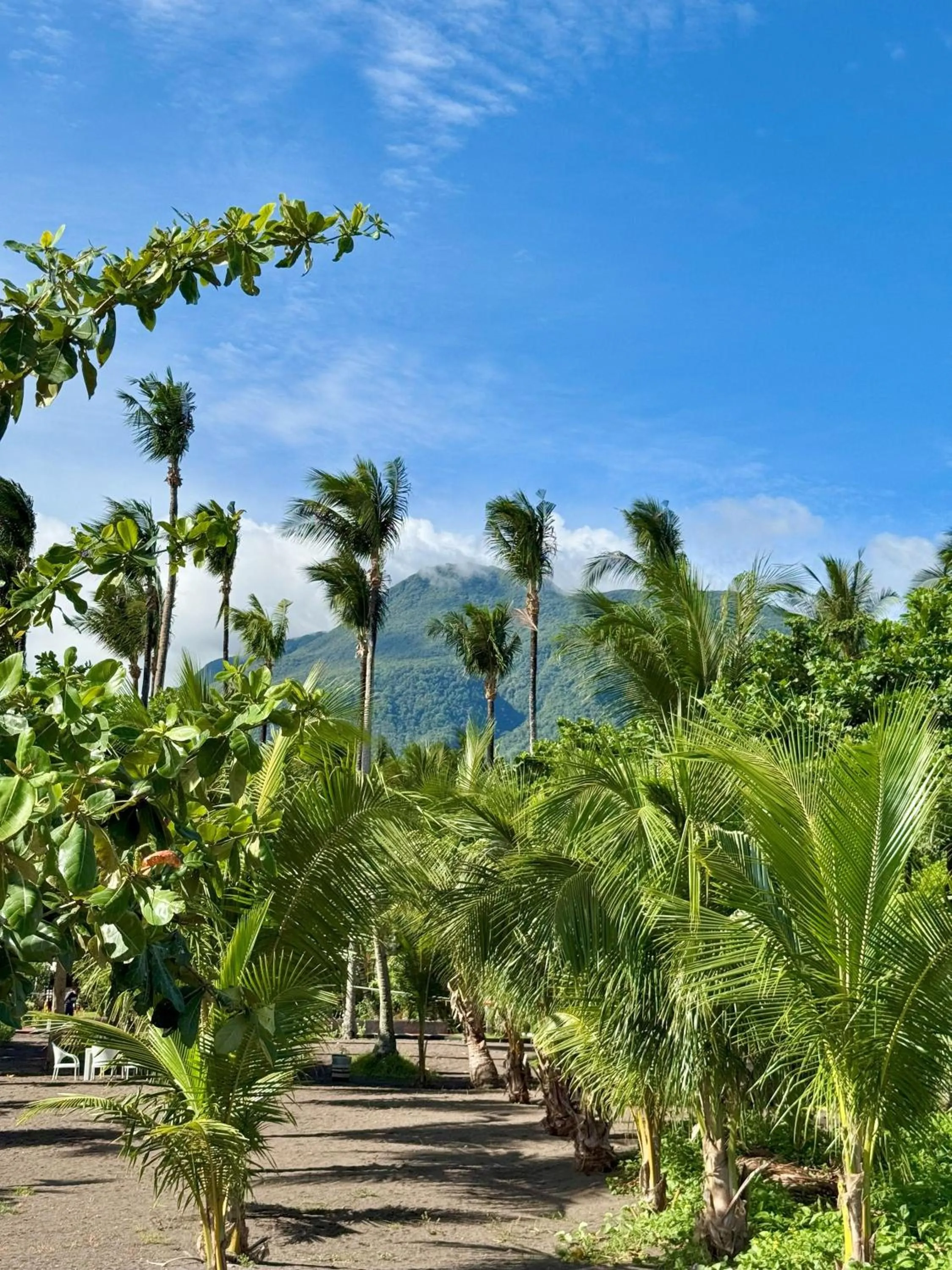 SomeWhere Else Boutique Resort