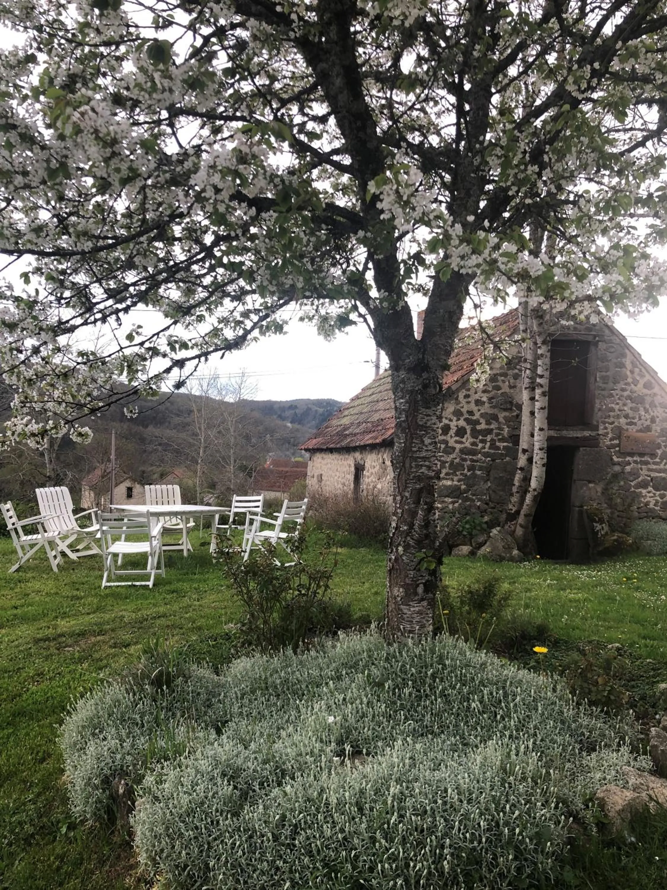 Patio in Maison d'hôtes Ourdeaux et Gite Chez Rouchon