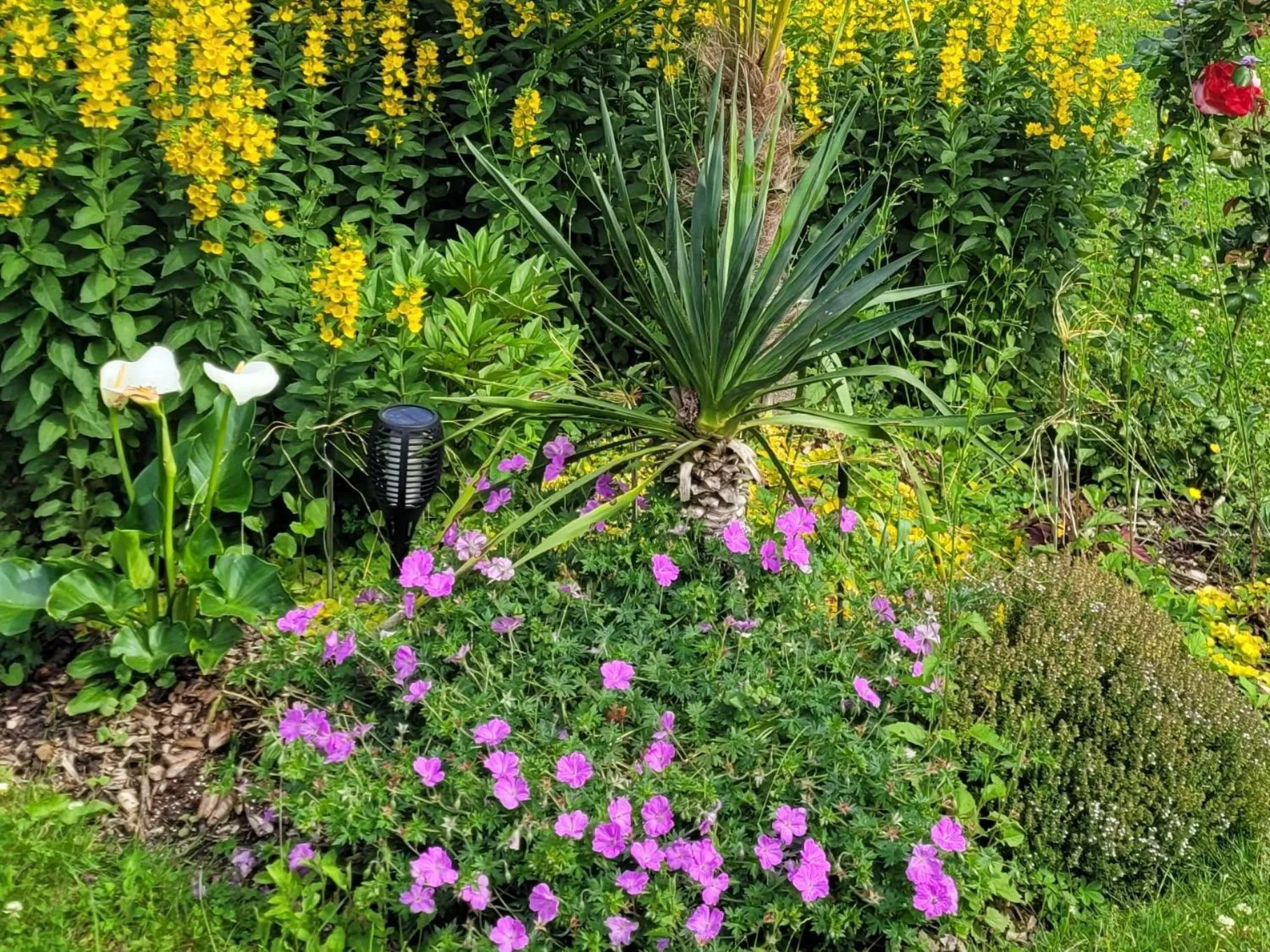 Le Soleil Couchant/Chambre d'hôtes