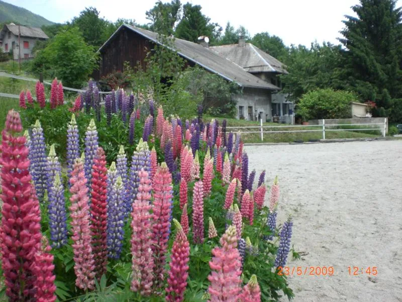 Property building in Domaine de la Safranière - Chambre d'hote