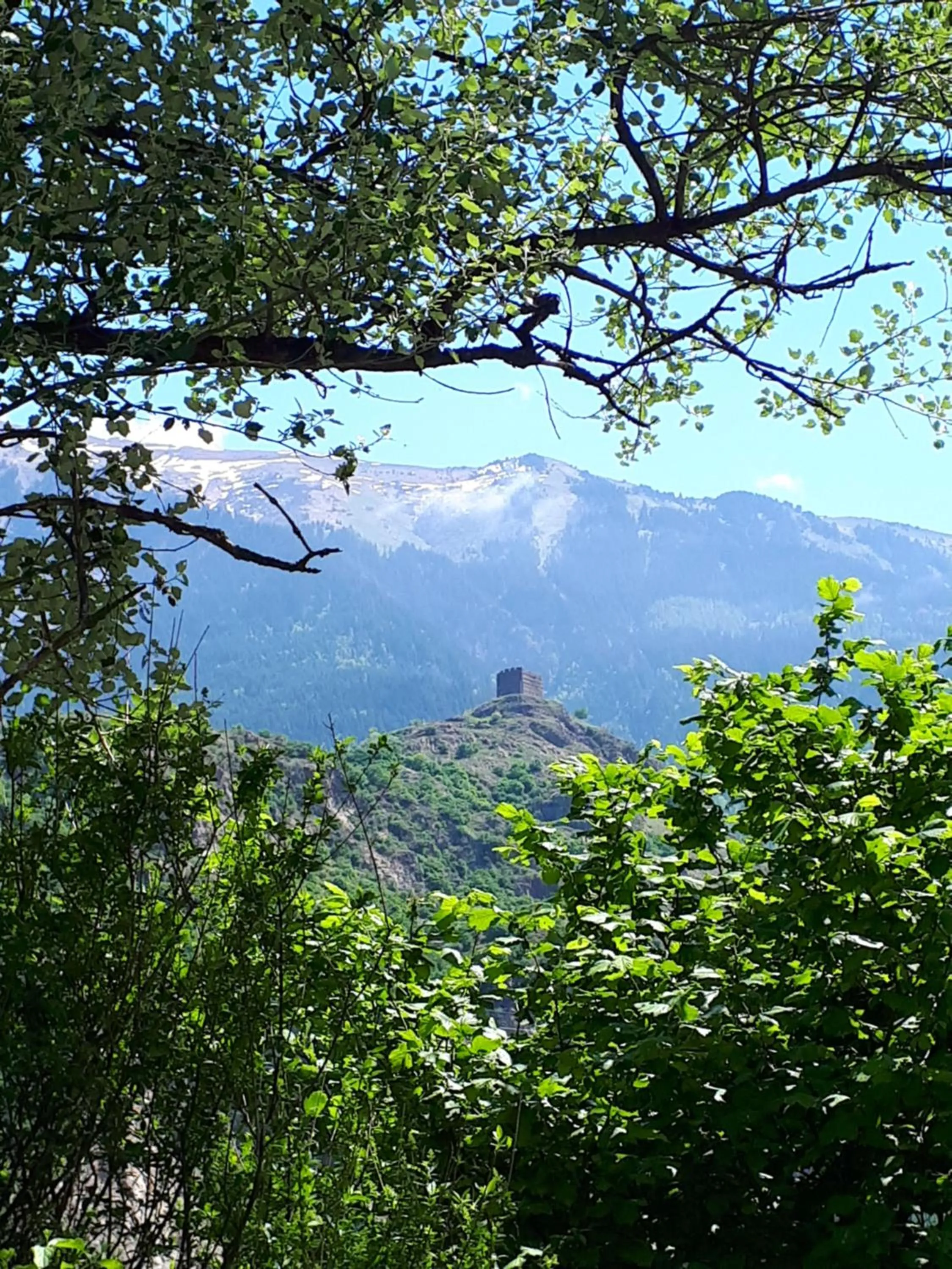 Natural landscape in Domaine de la Safranière - Chambre d'hote