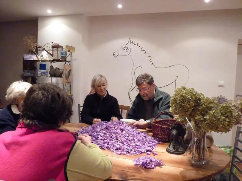 People in Domaine de la Safranière - Chambre d'hote