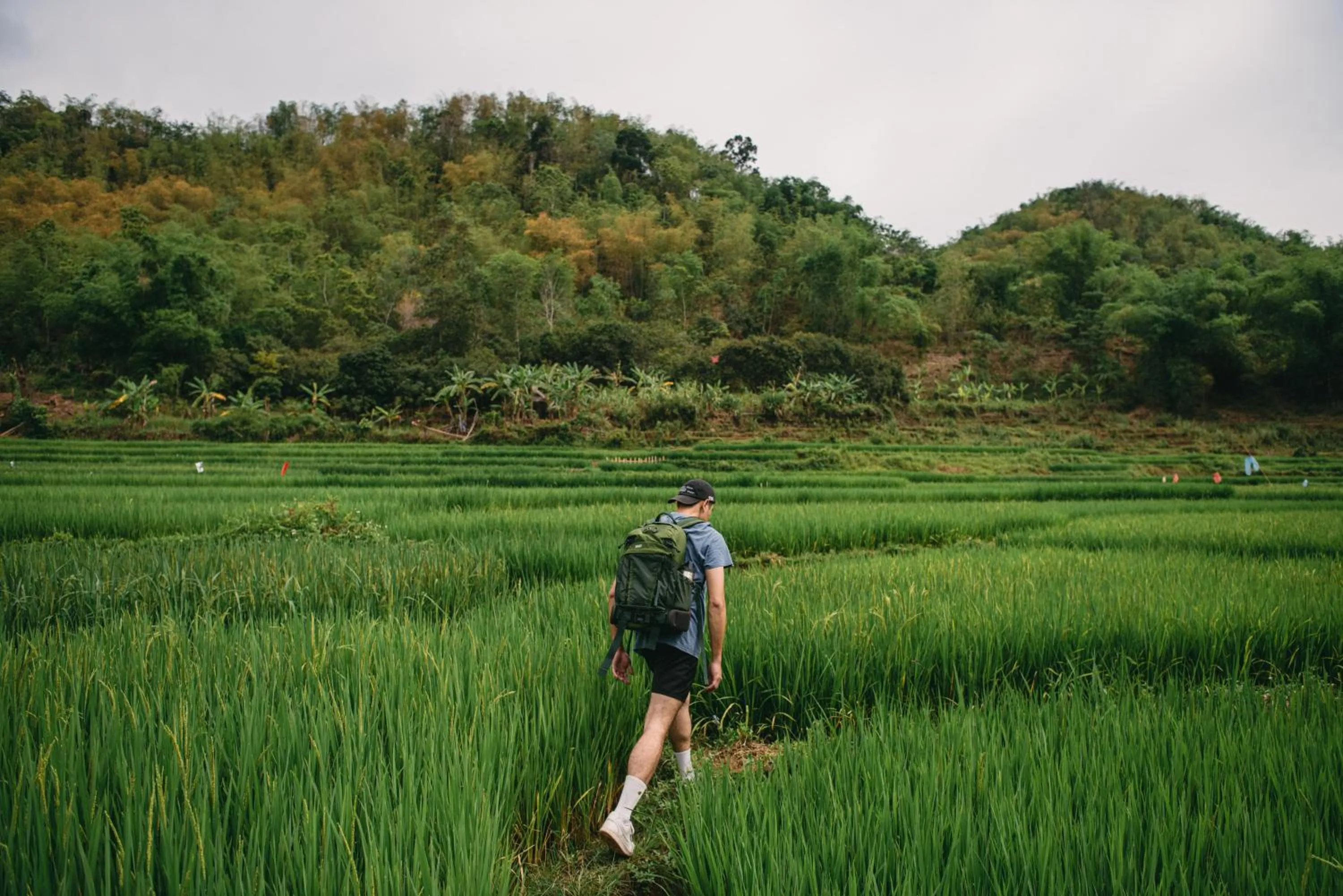 Activities in Avana Retreat