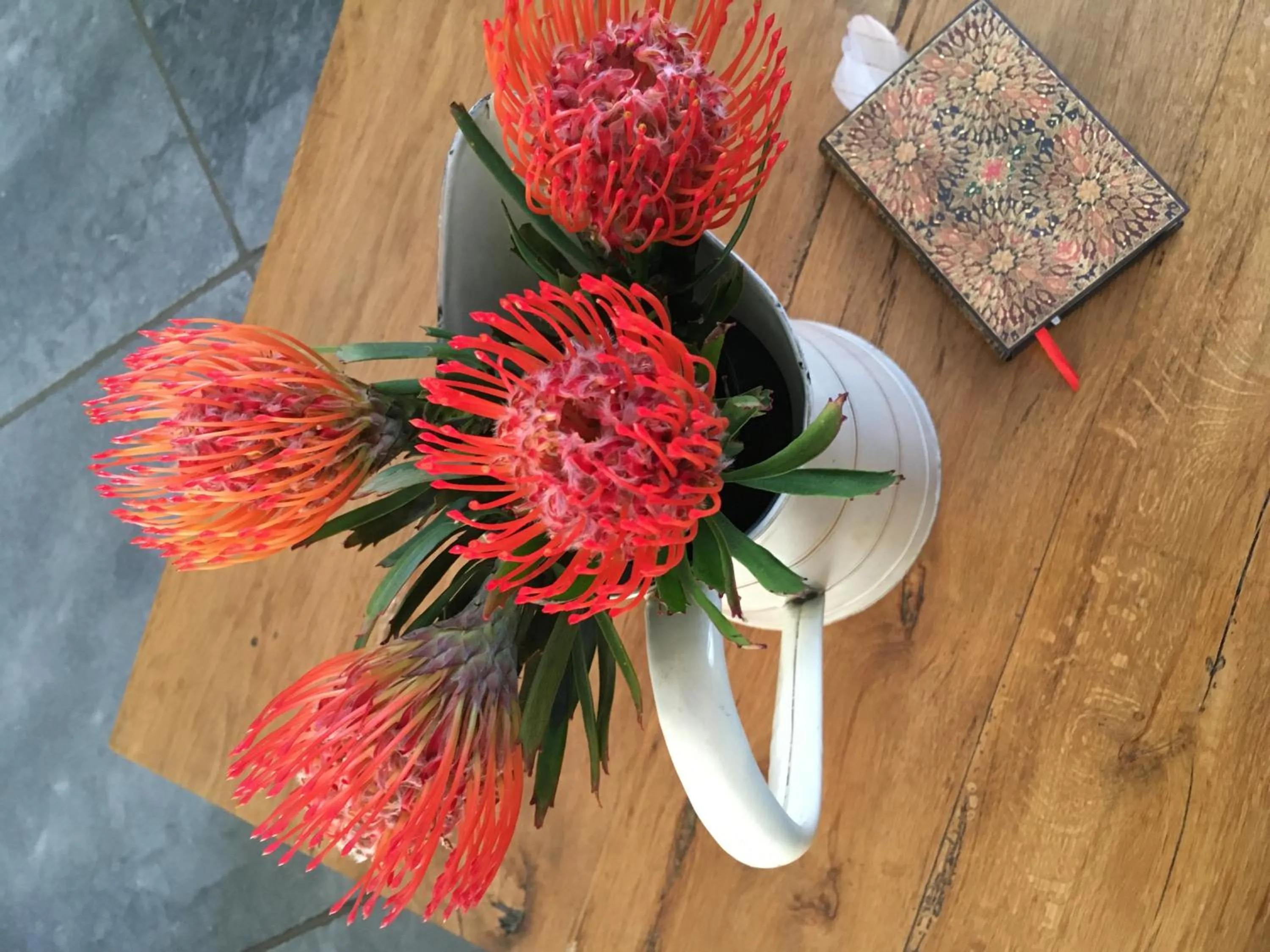 Property building in B&B My Suite Home