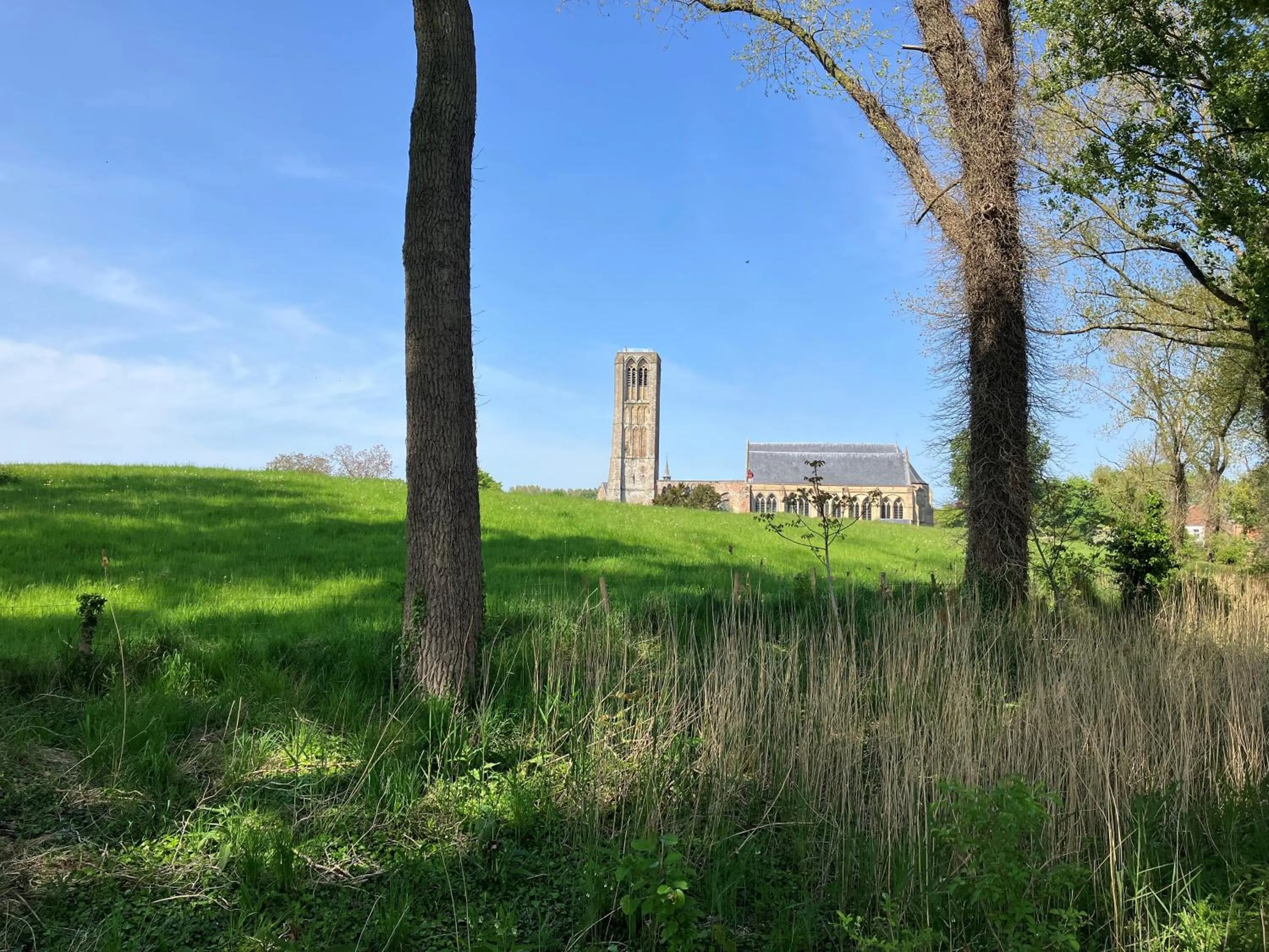 Hiking in B&B My Suite Home