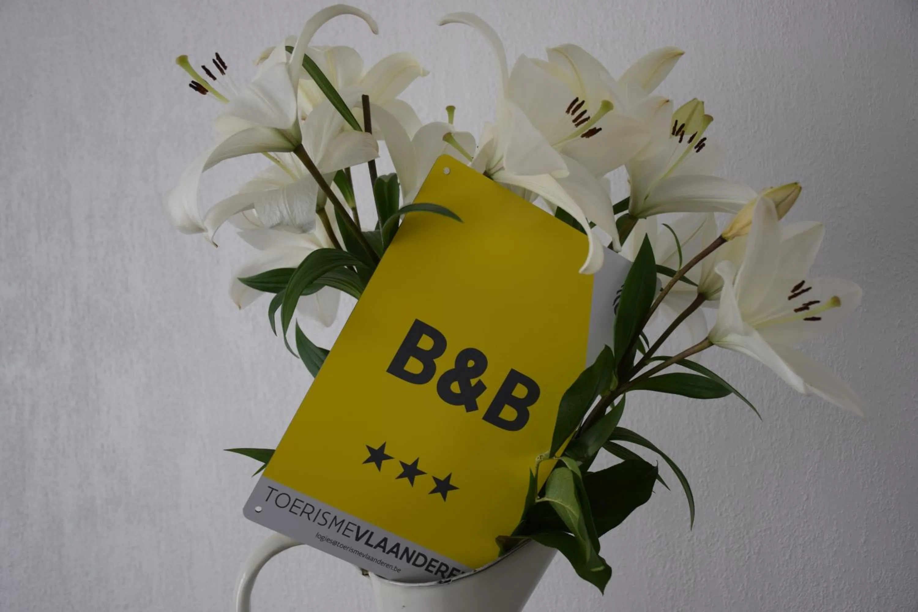 Property logo or sign in B&B My Suite Home