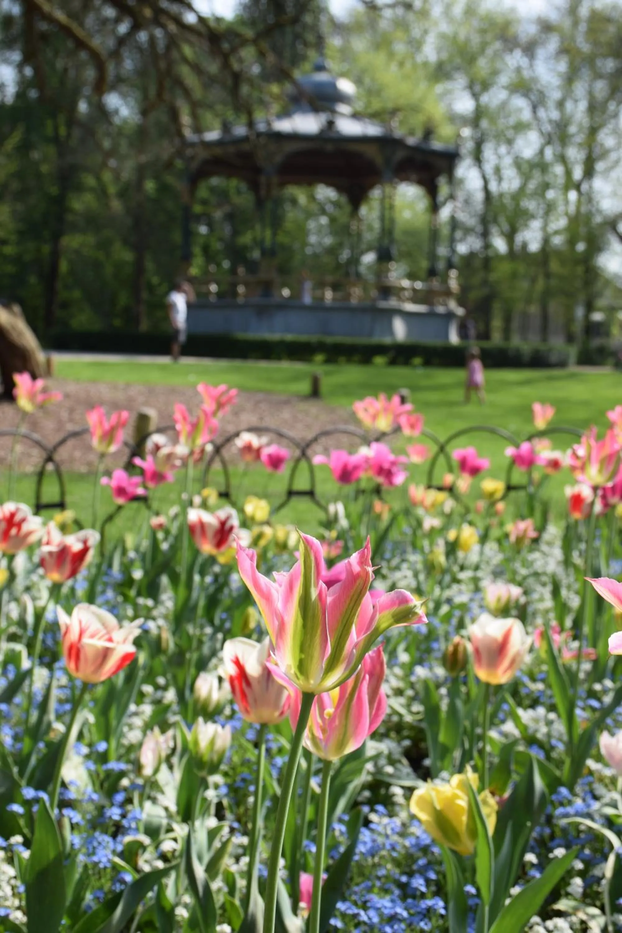 Spring in B&B My Suite Home