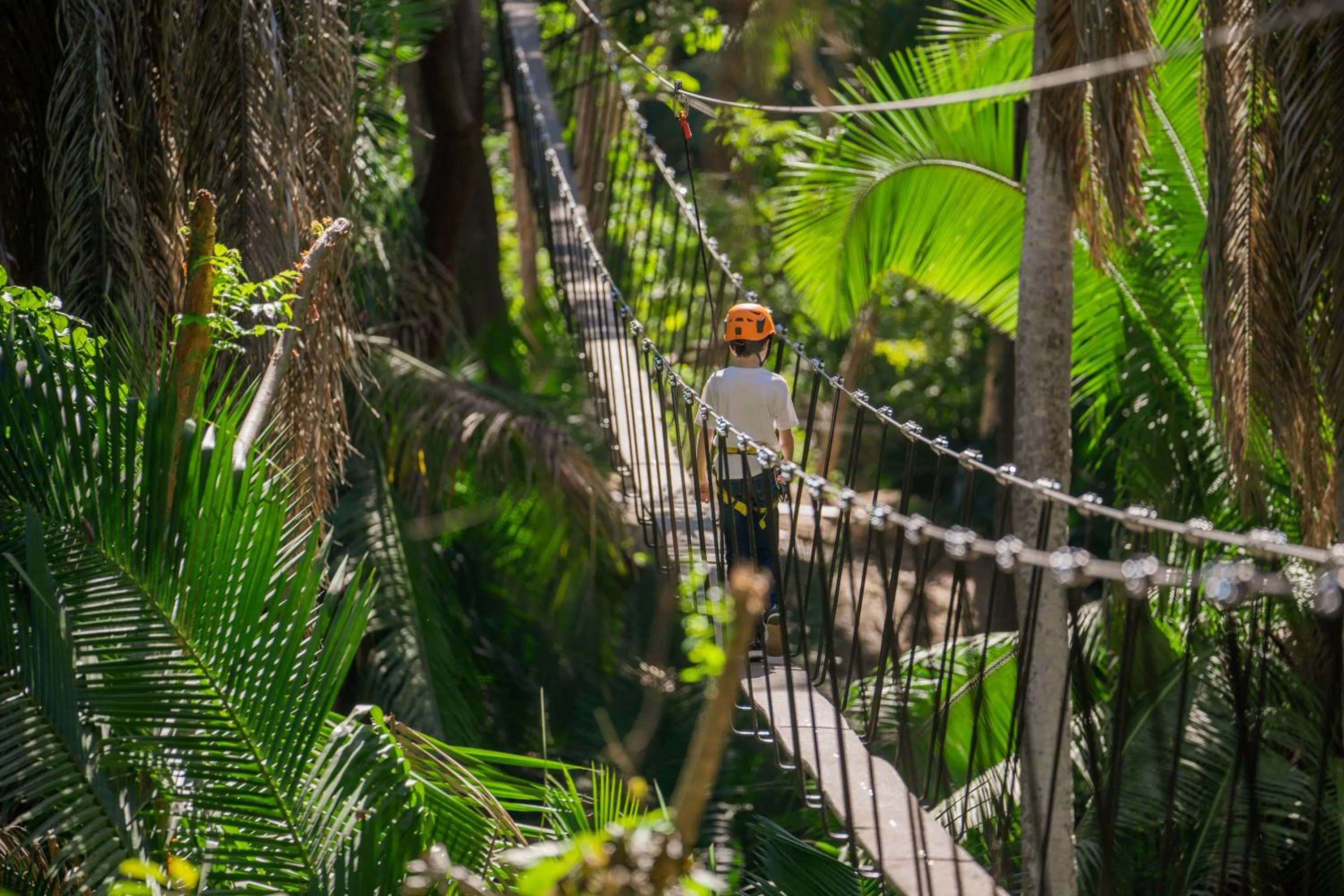 Dreams Bahia Mita Surf and Spa - All Inclusive