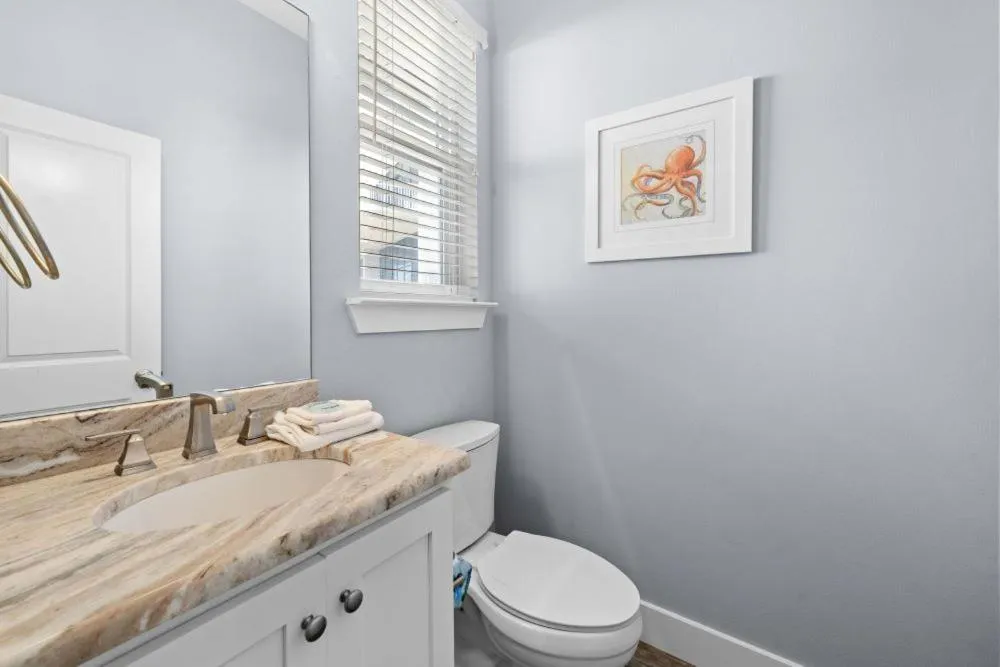 Two Little Lambs at Our Point of View by Youngs Suncoast