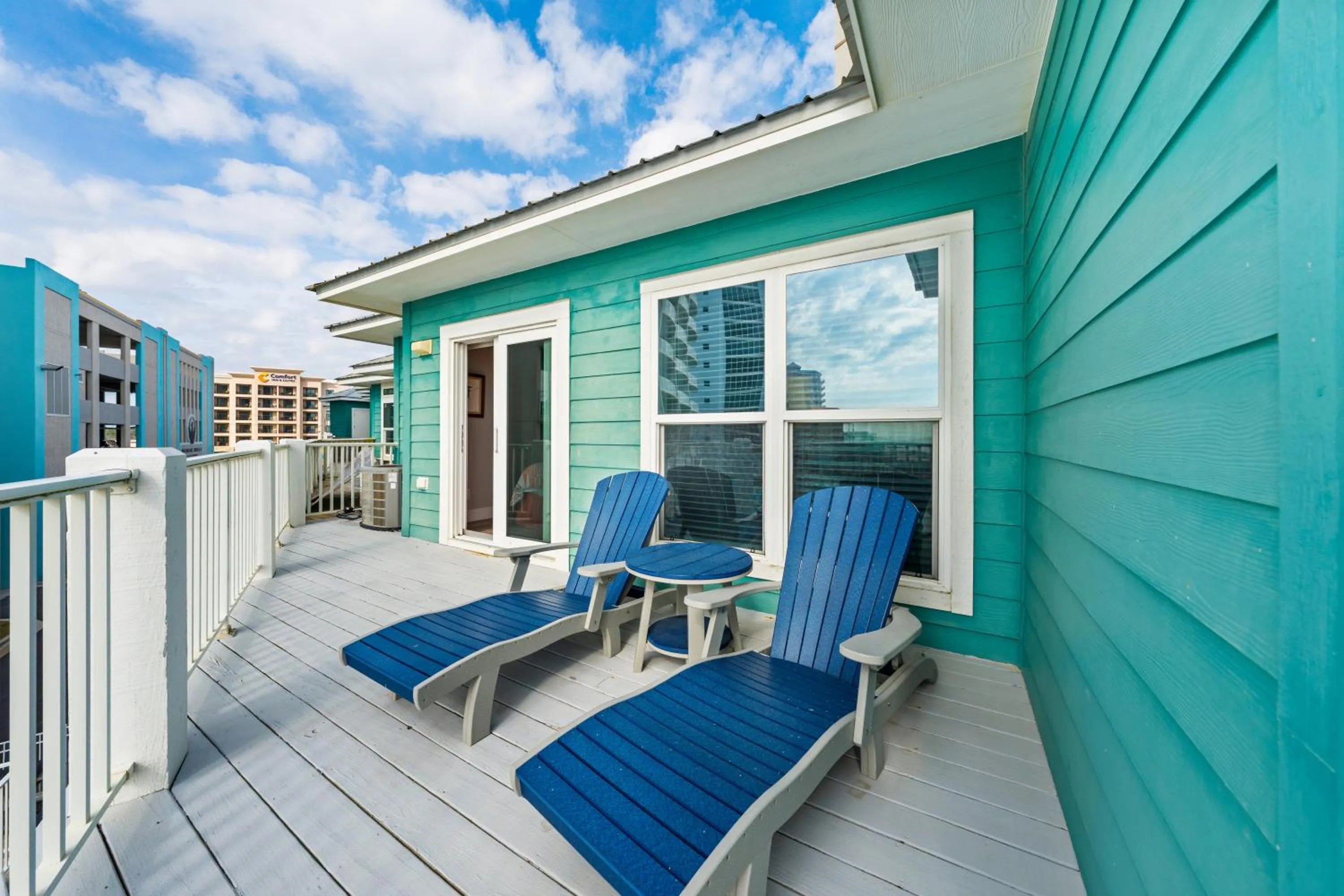 Two Little Lambs at Our Point of View by Youngs Suncoast