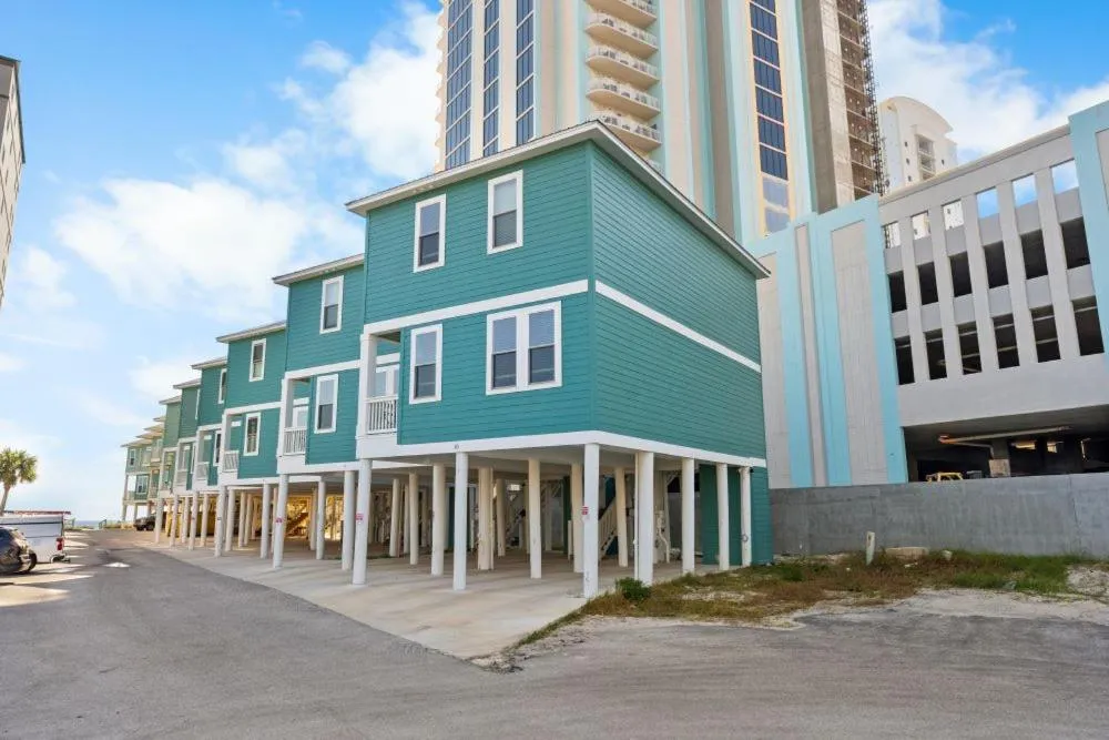 Two Little Lambs at Our Point of View by Youngs Suncoast