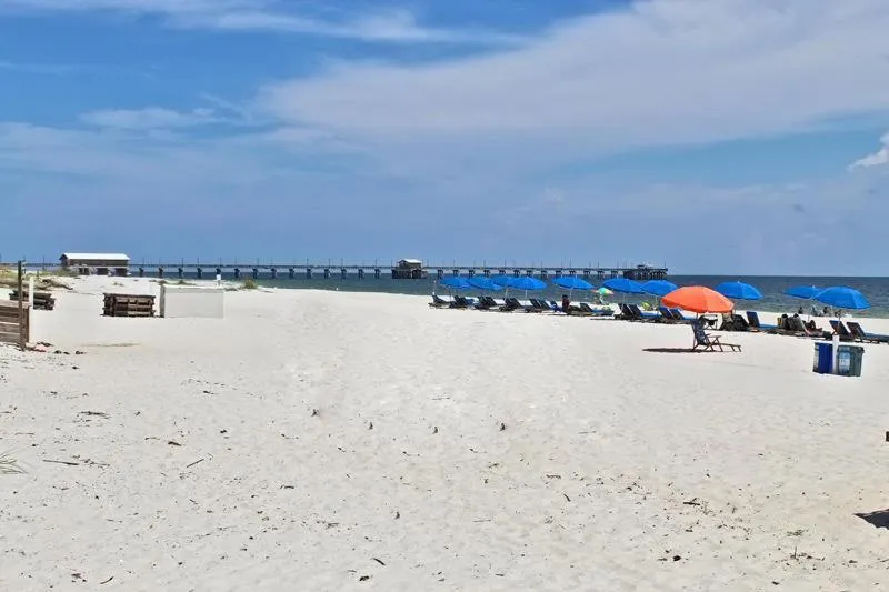 Two Little Lambs at Our Point of View by Youngs Suncoast