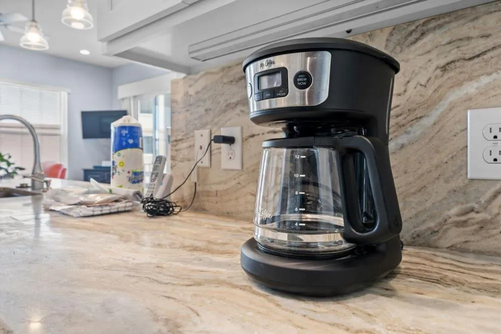 Two Little Lambs at Our Point of View by Youngs Suncoast