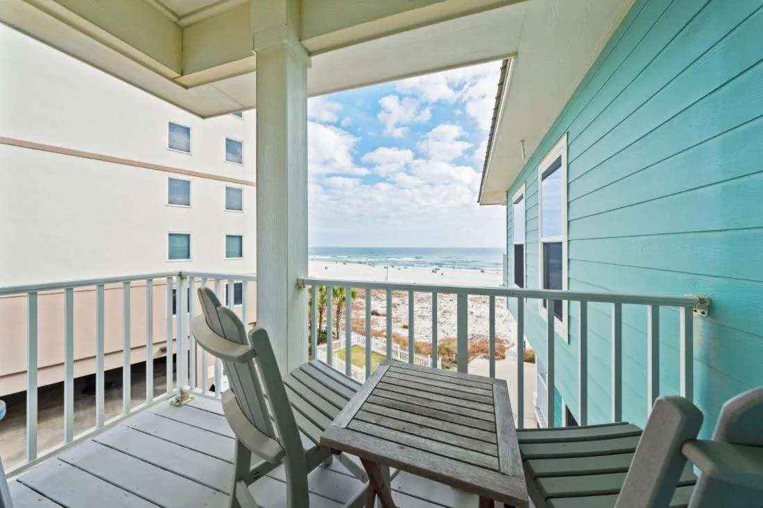 Day in Two Little Lambs at Our Point of View by Youngs Suncoast