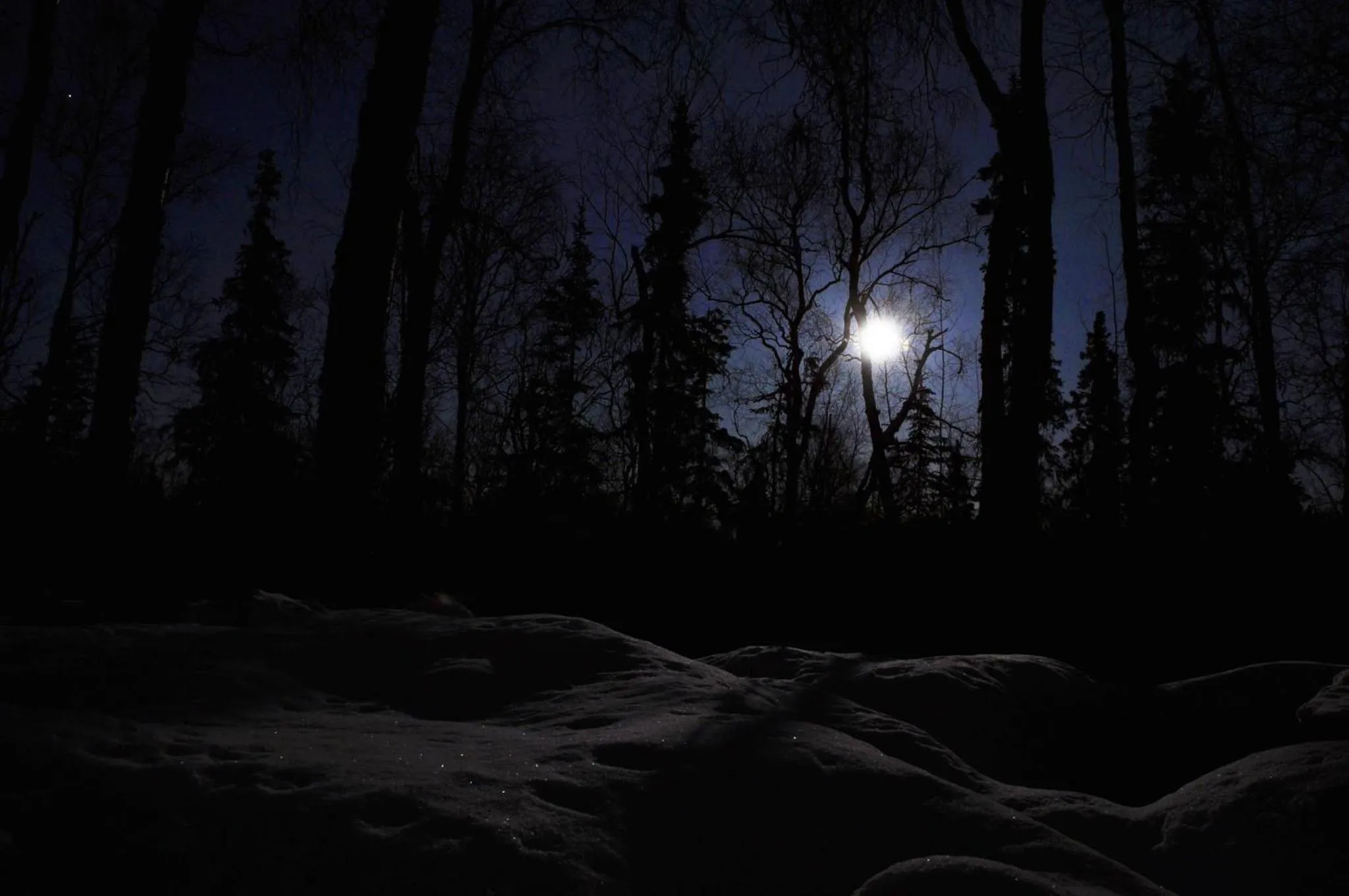 Natural landscape in Talkeetna Chalet